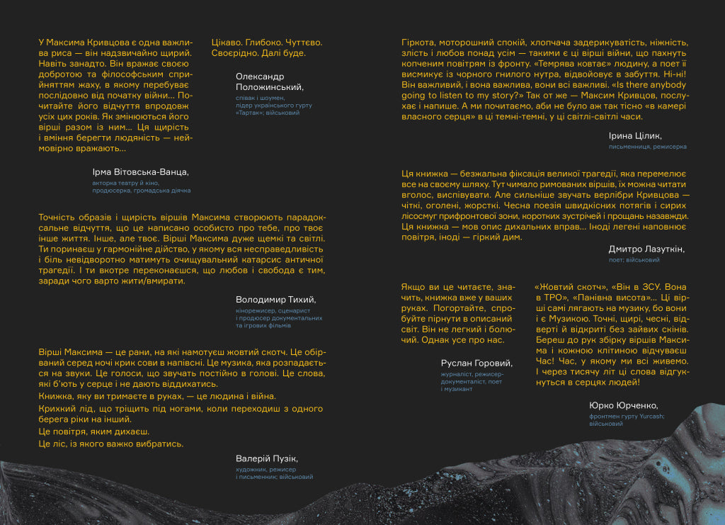 Вірші з бійниці