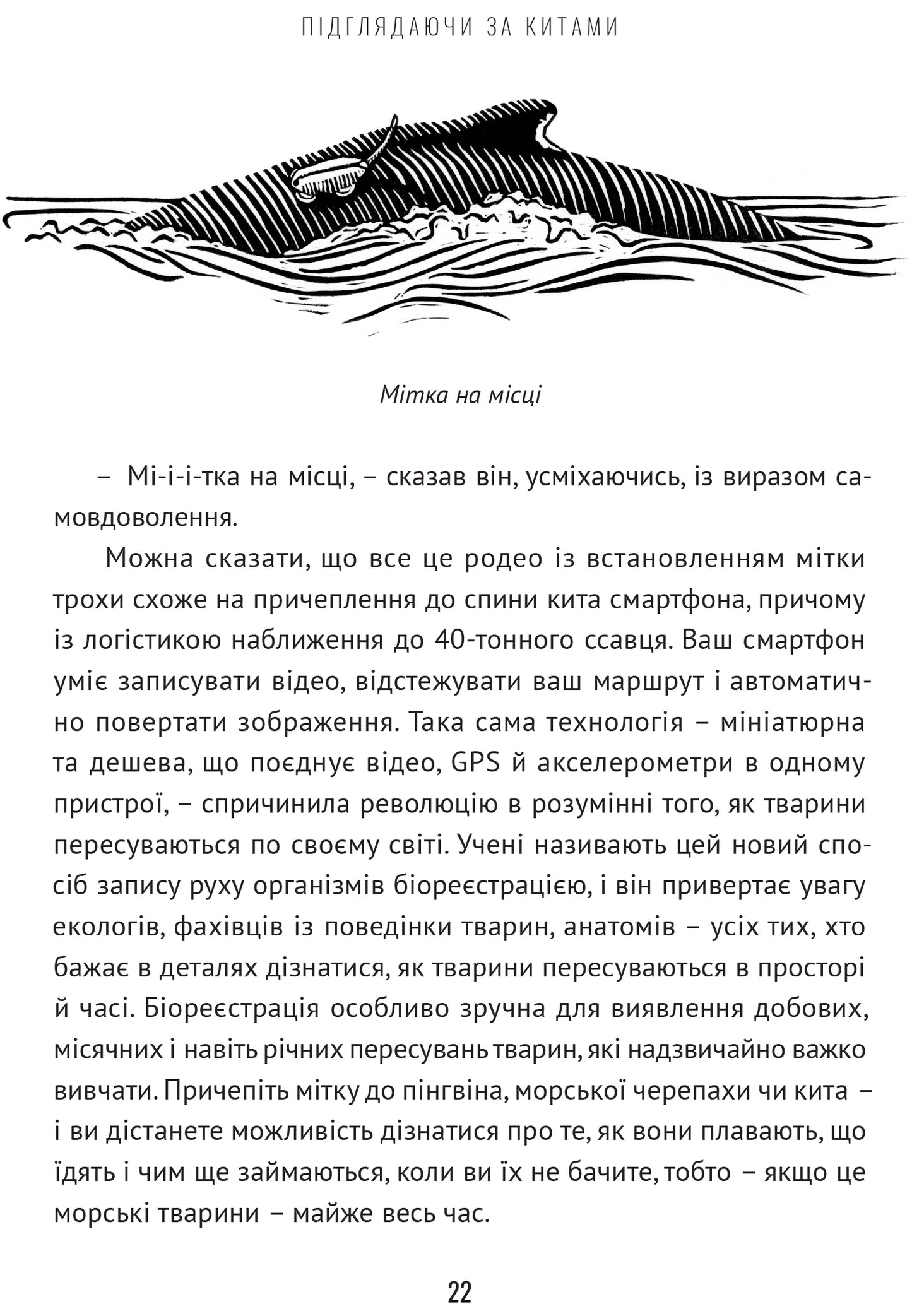 Підглядаючи за китами. Минуле, сьогодення та майбутнє найбільших у світі тварин