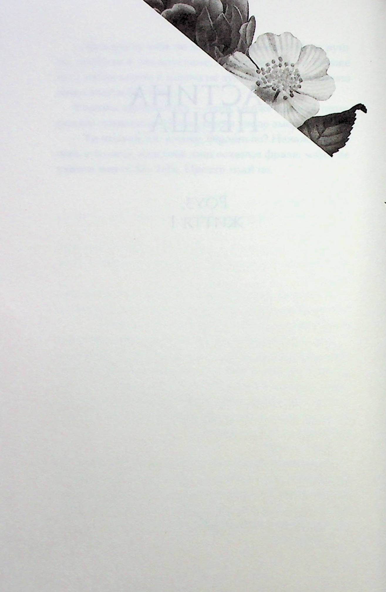 Дев'ять життів Роуз Наполітано