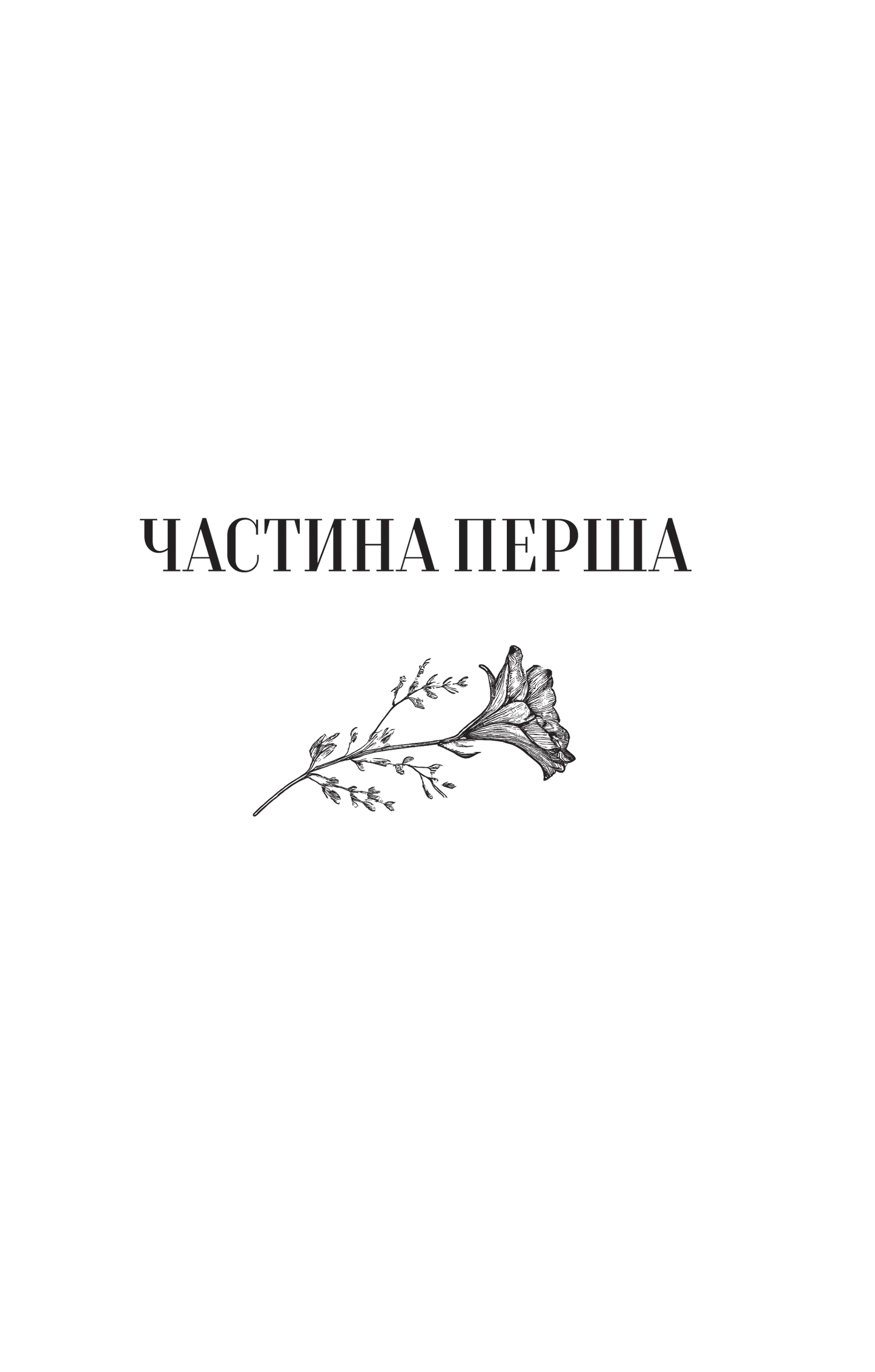 Те, що видно звідси