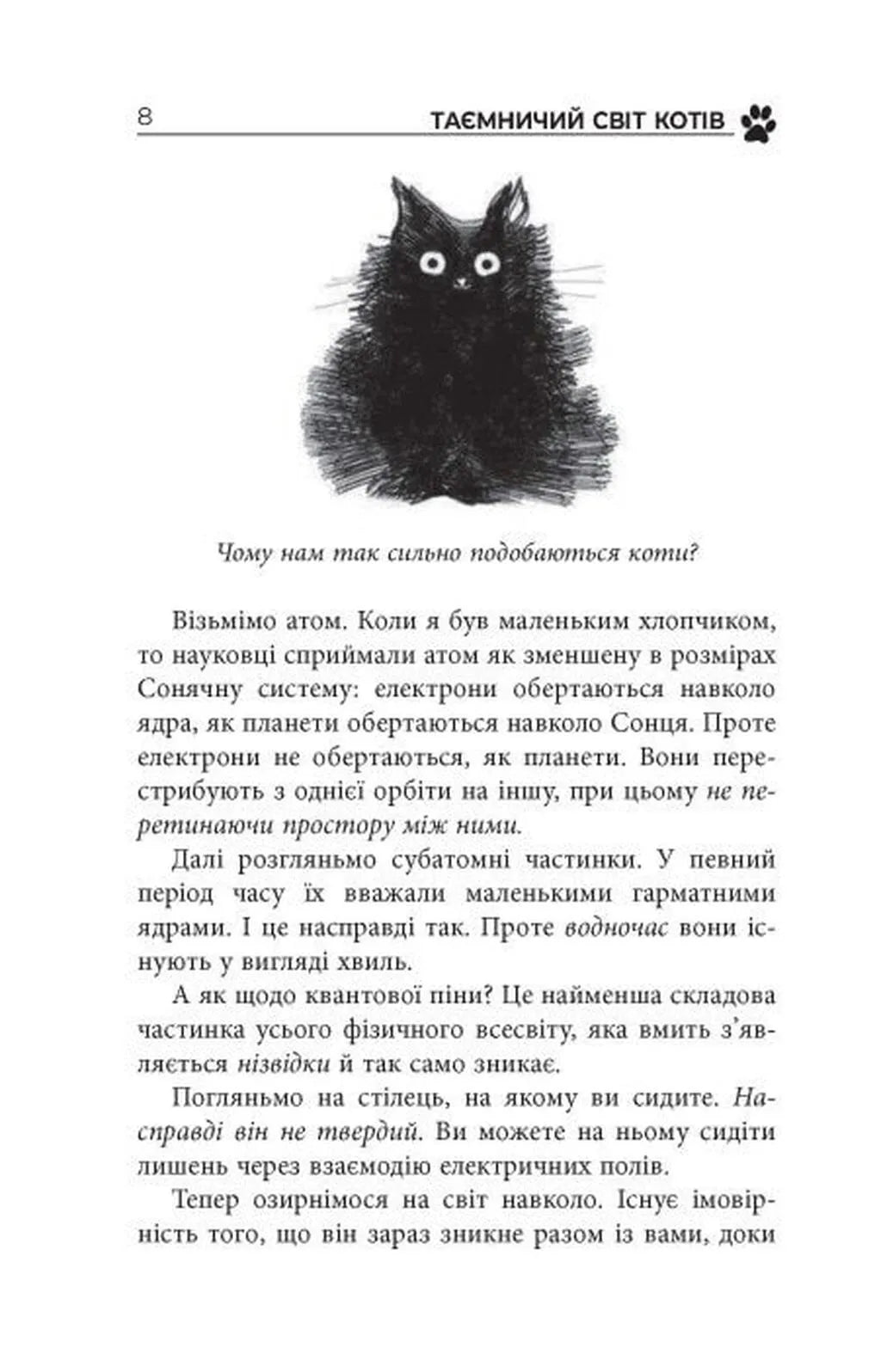 Таємничий світ котів