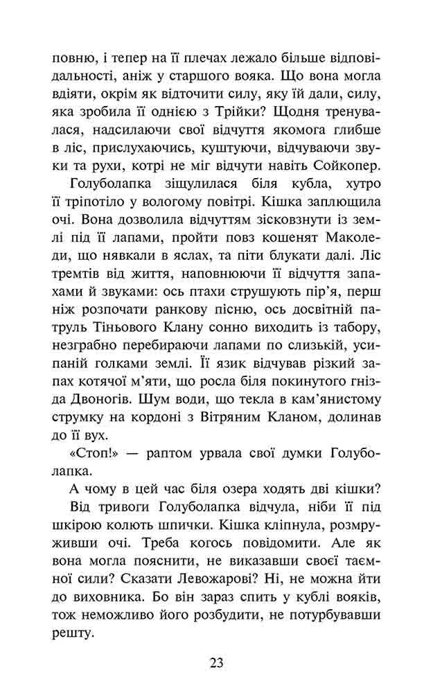 Стихле відлуння. Книга 2. Коти-вояки. Знамення Зореклану