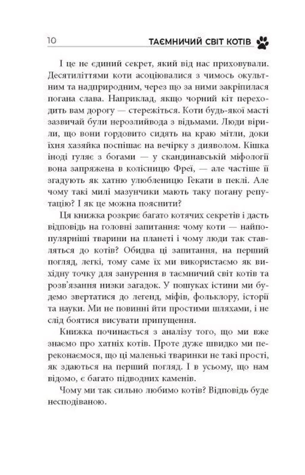 Таємничий світ котів