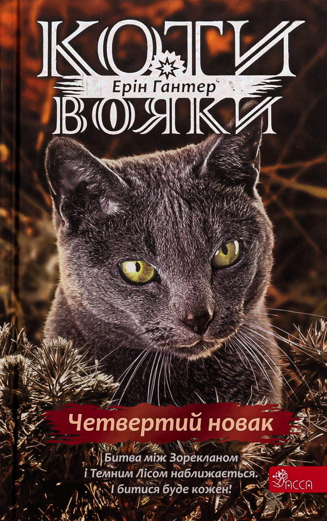 Коти-вояки. Знамення Зореклану. Книга 1. Четвертий новак