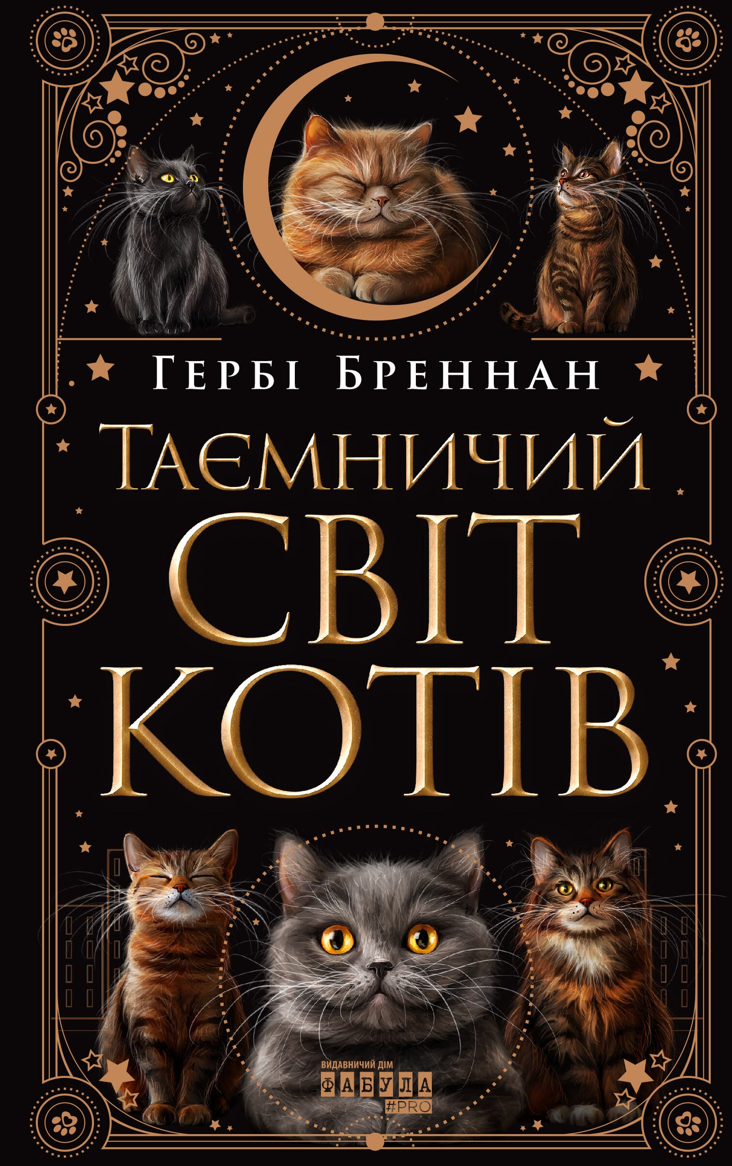 Таємничий світ котів