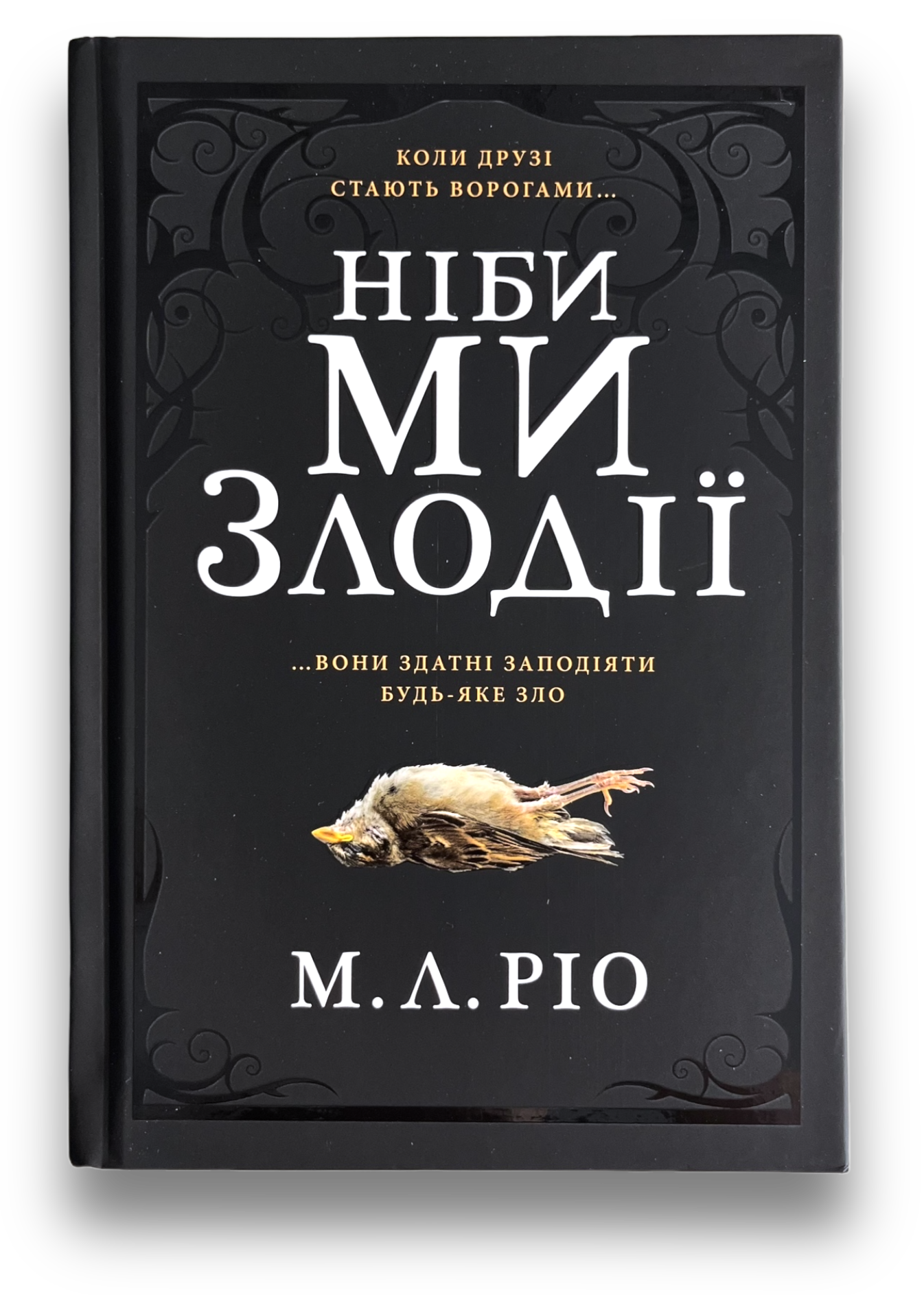 Ніби ми злодії