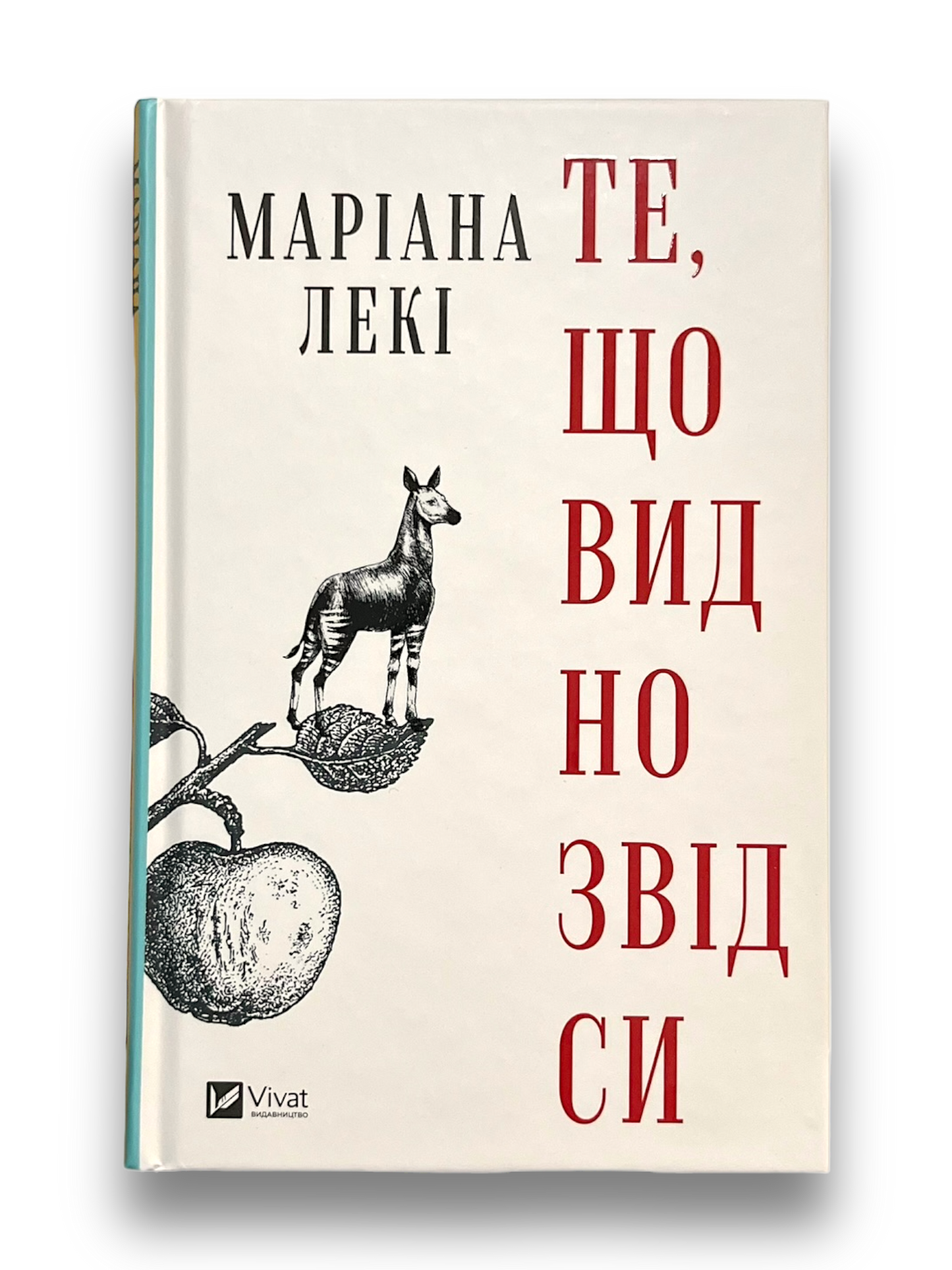 Те, що видно звідси