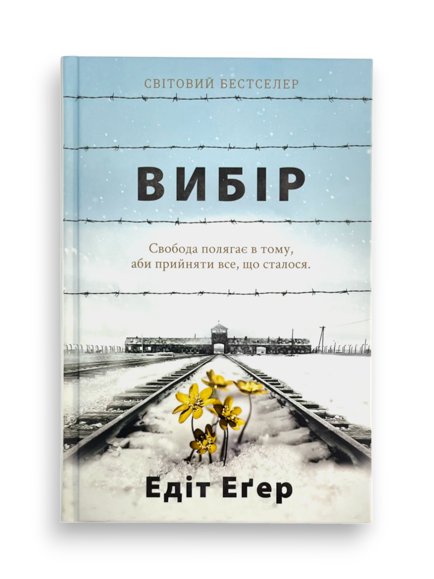 Вибір. Прийняти можливе