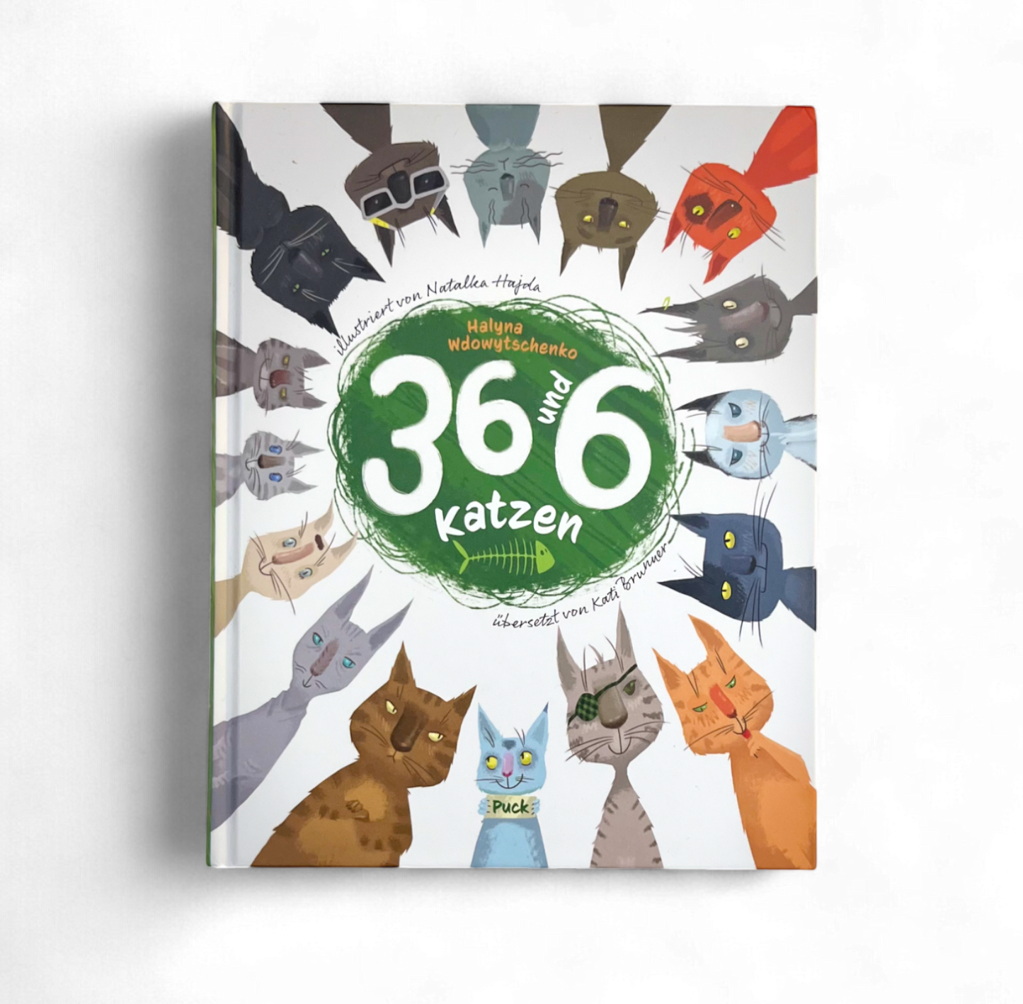 36 und 6 Katzen