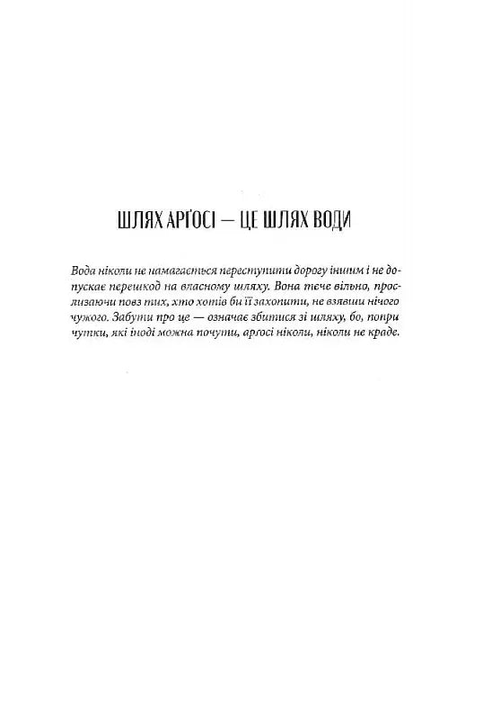 Чорна тінь. Книга 2. Творець заклинань