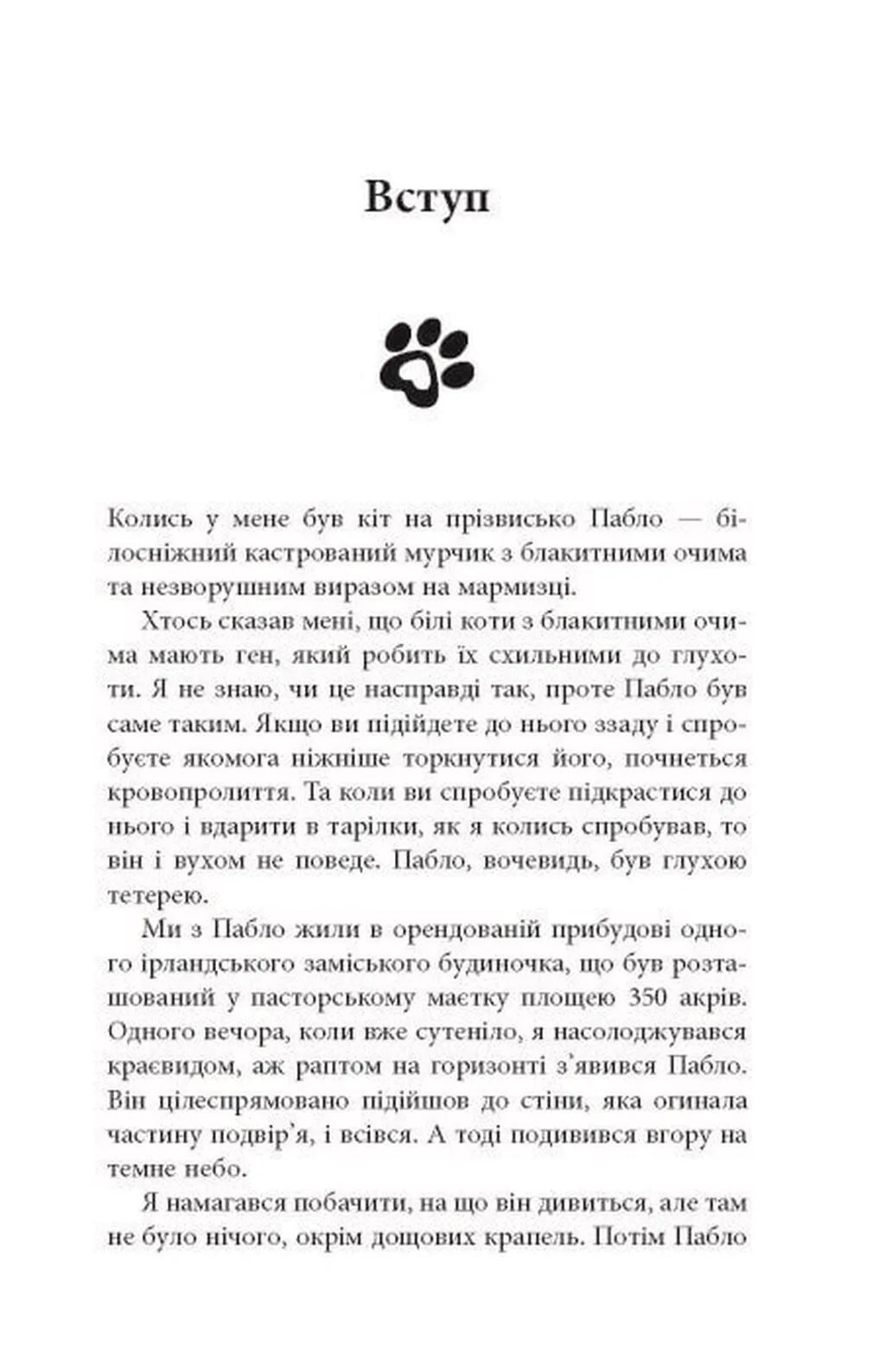 Таємничий світ котів