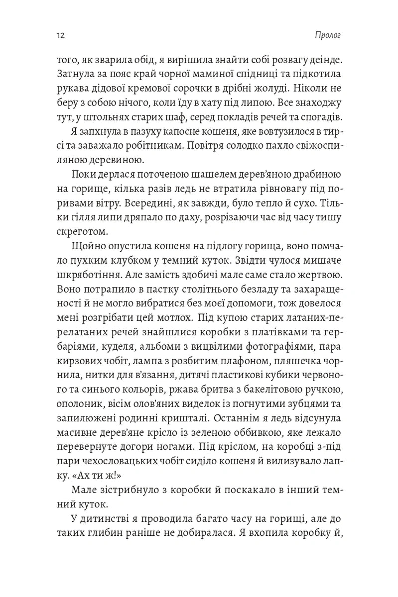 Тінь Малої Ведмедиці. Степовий роман image 9