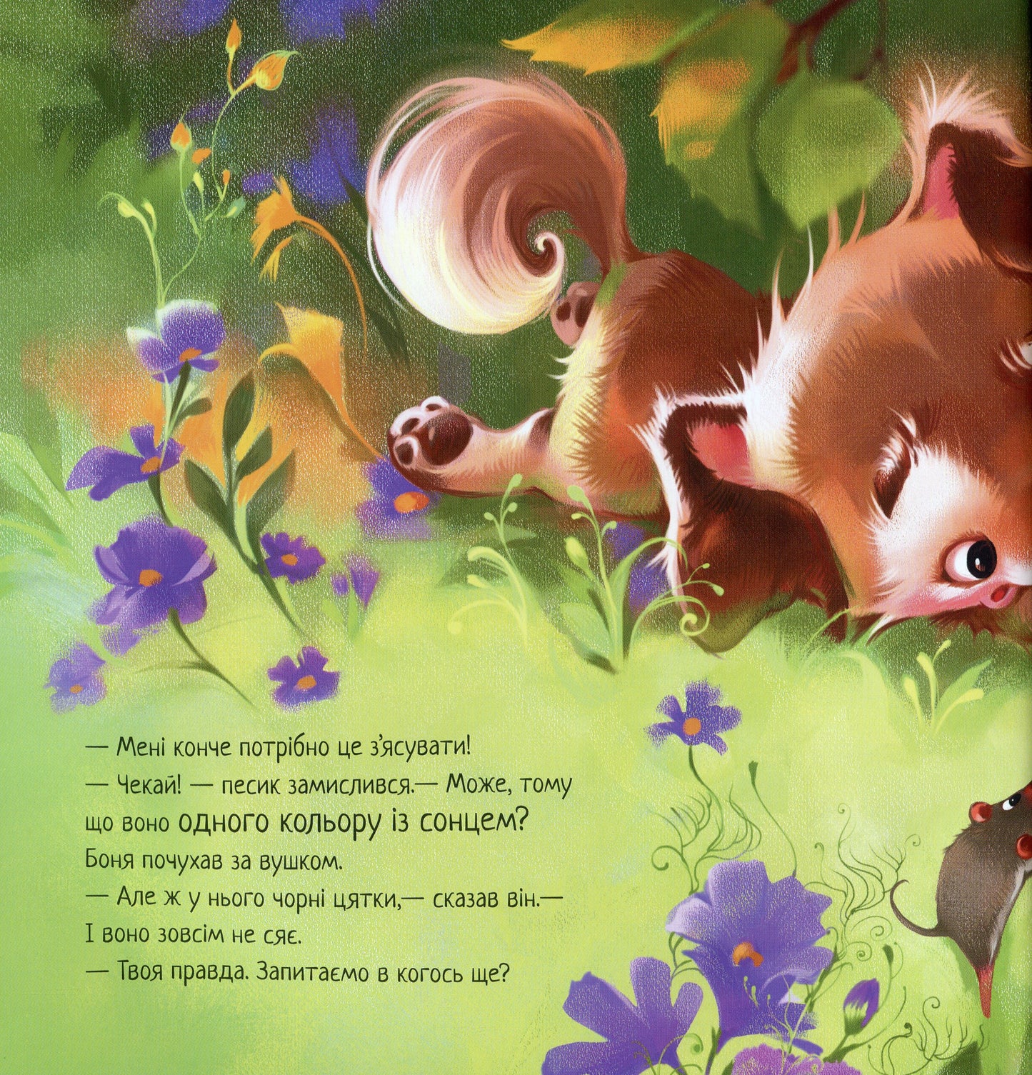 Кошеня і Сонечко