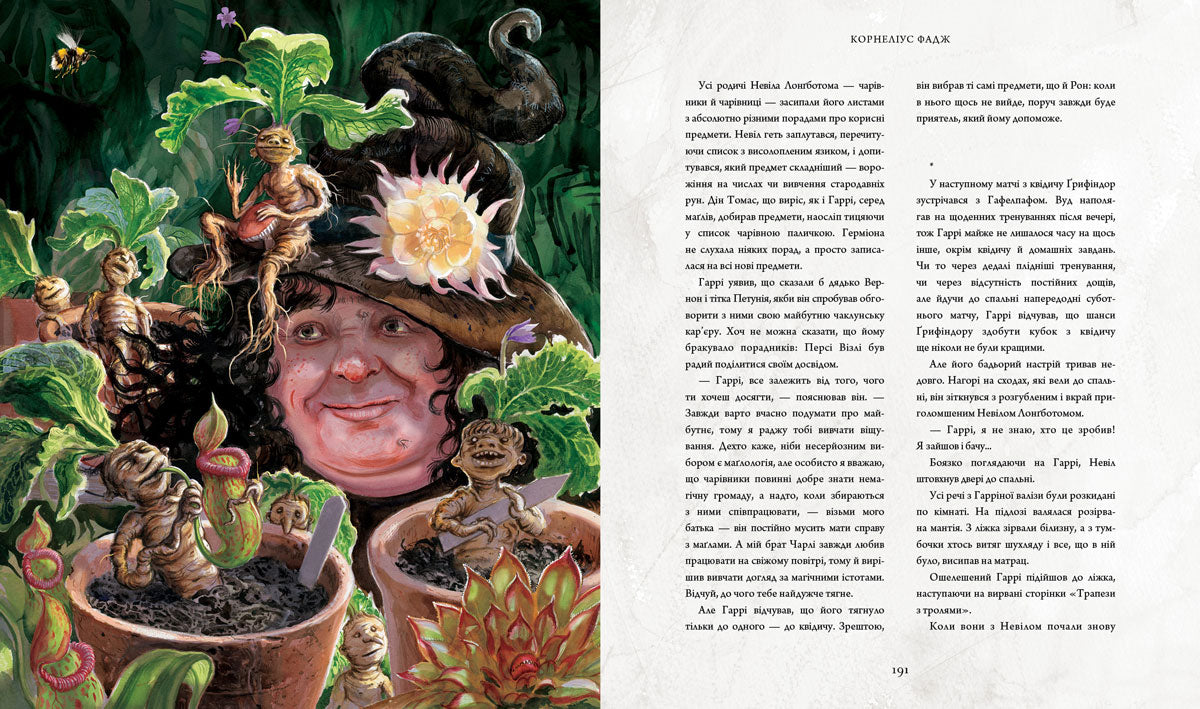 Гаррі Поттер і таємна кімната. Велике ілюстроване видання