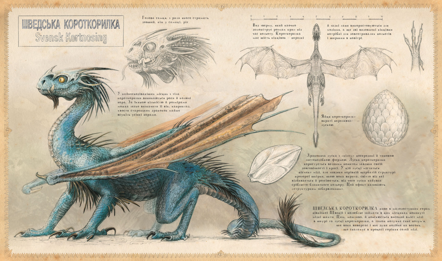 Гаррі Поттер і келих вогню. Велике ілюстроване видання