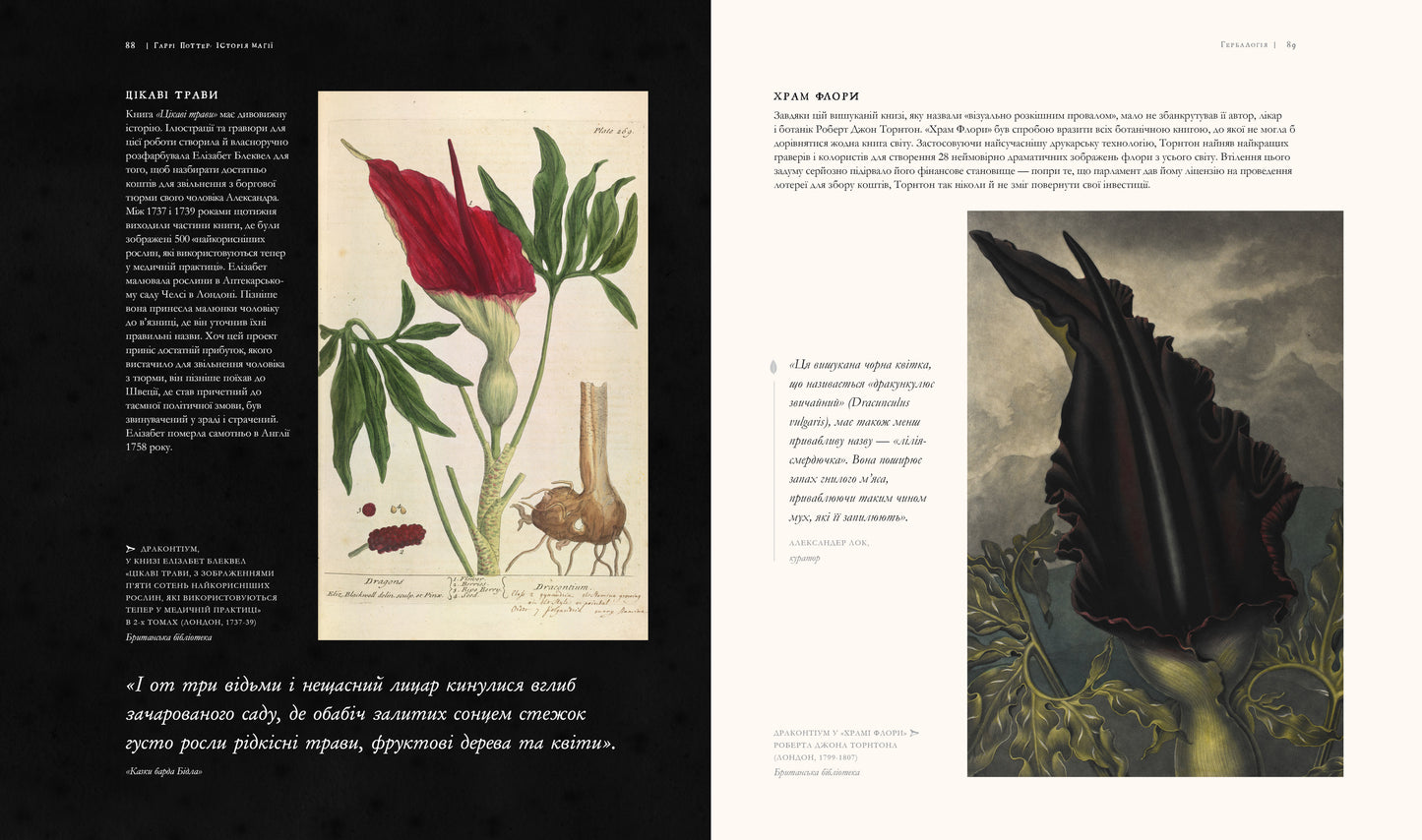 Гаррі Поттер: історія магії. Велике ілюстроване видання