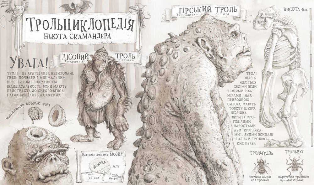 Гаррі Поттер і філософський камінь. Велике ілюстроване видання