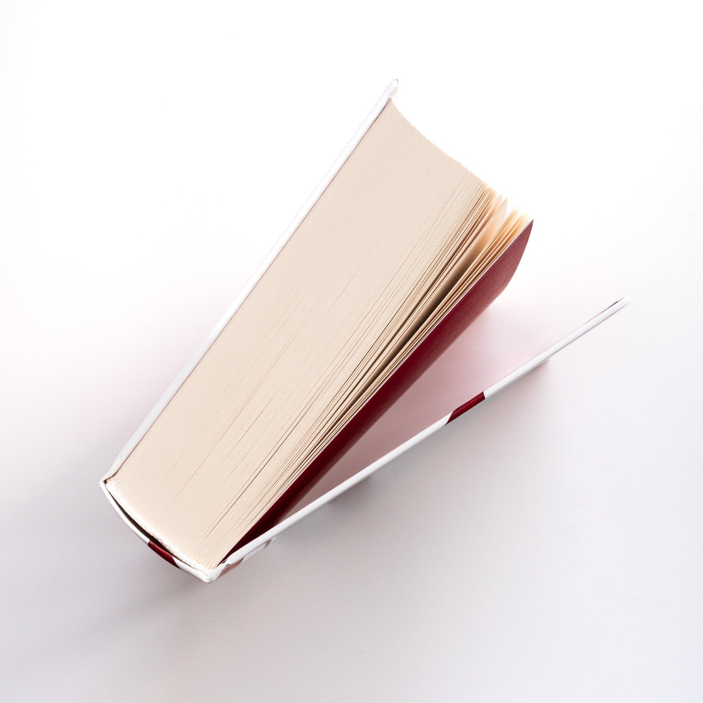 Notre Dame D’Ukraine: Українка в конфлікті міфологій