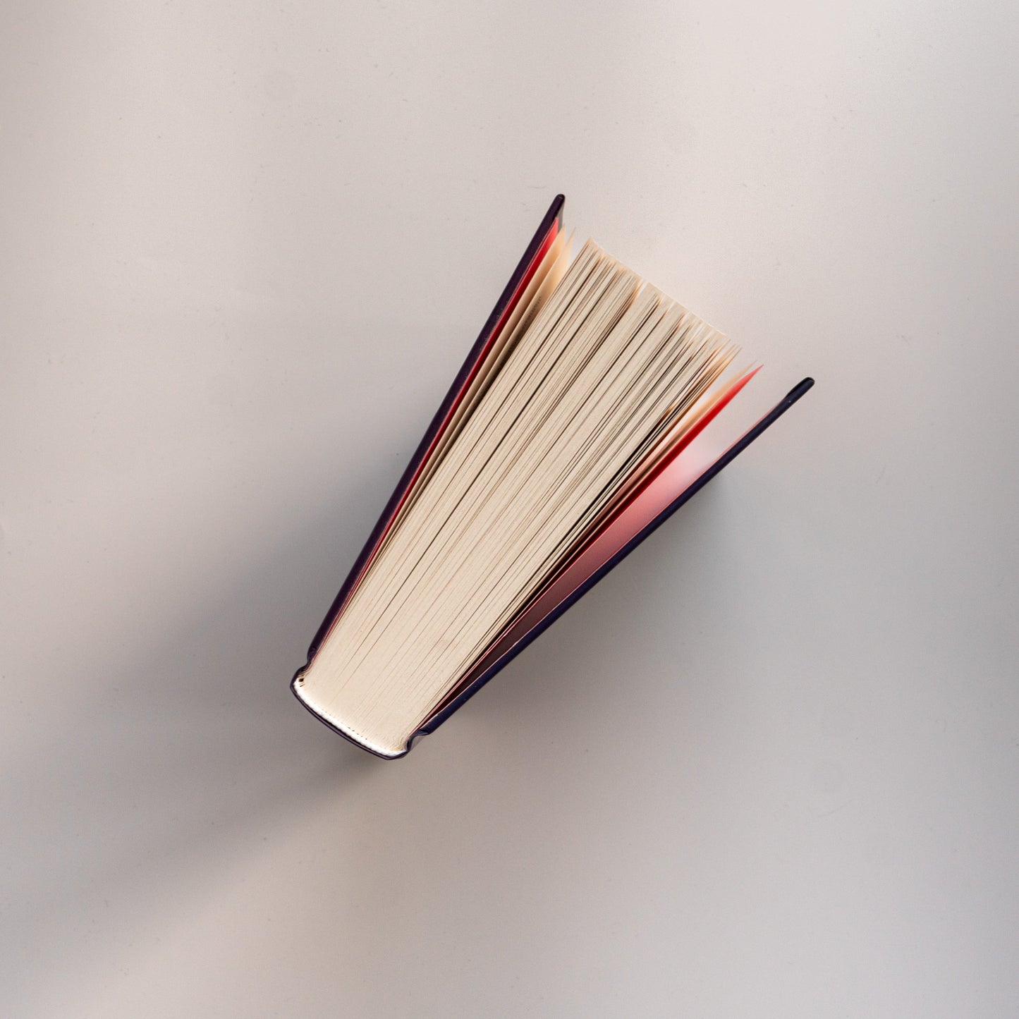 Агенція "Локвуд і Ко". Книга 4. Тінь, що крадеться