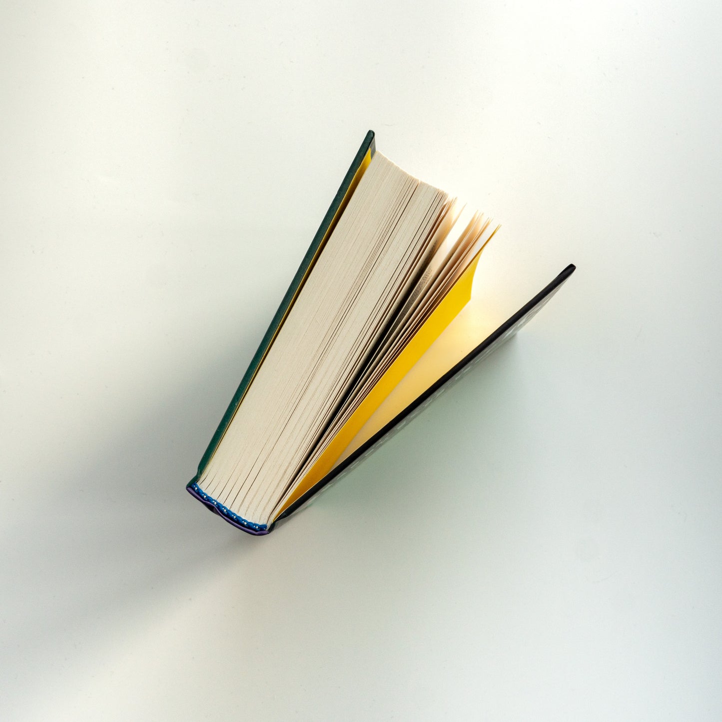 Агенція «Локвуд і Кo». Книга 2. Череп, що шепоче