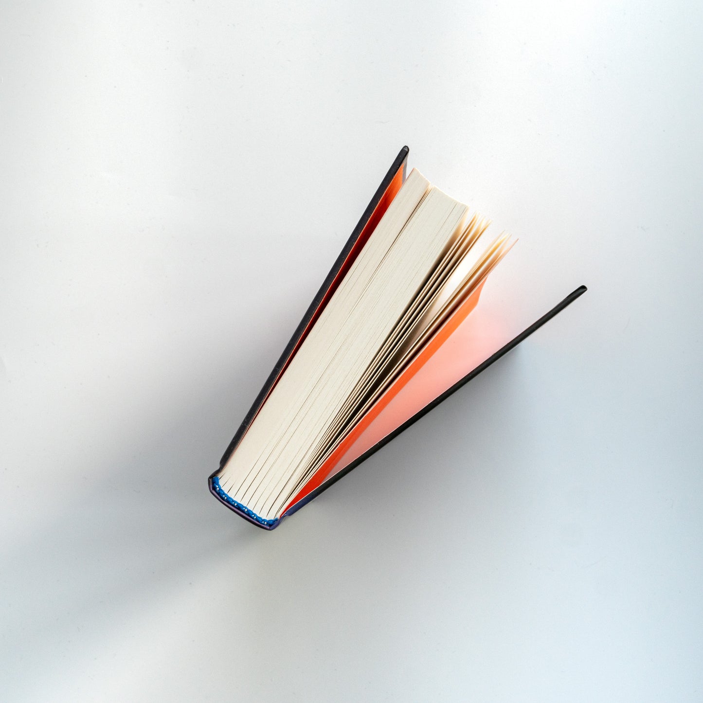 Агенція "Локвуд і Ко". Книга 1. Сходи, що кричать