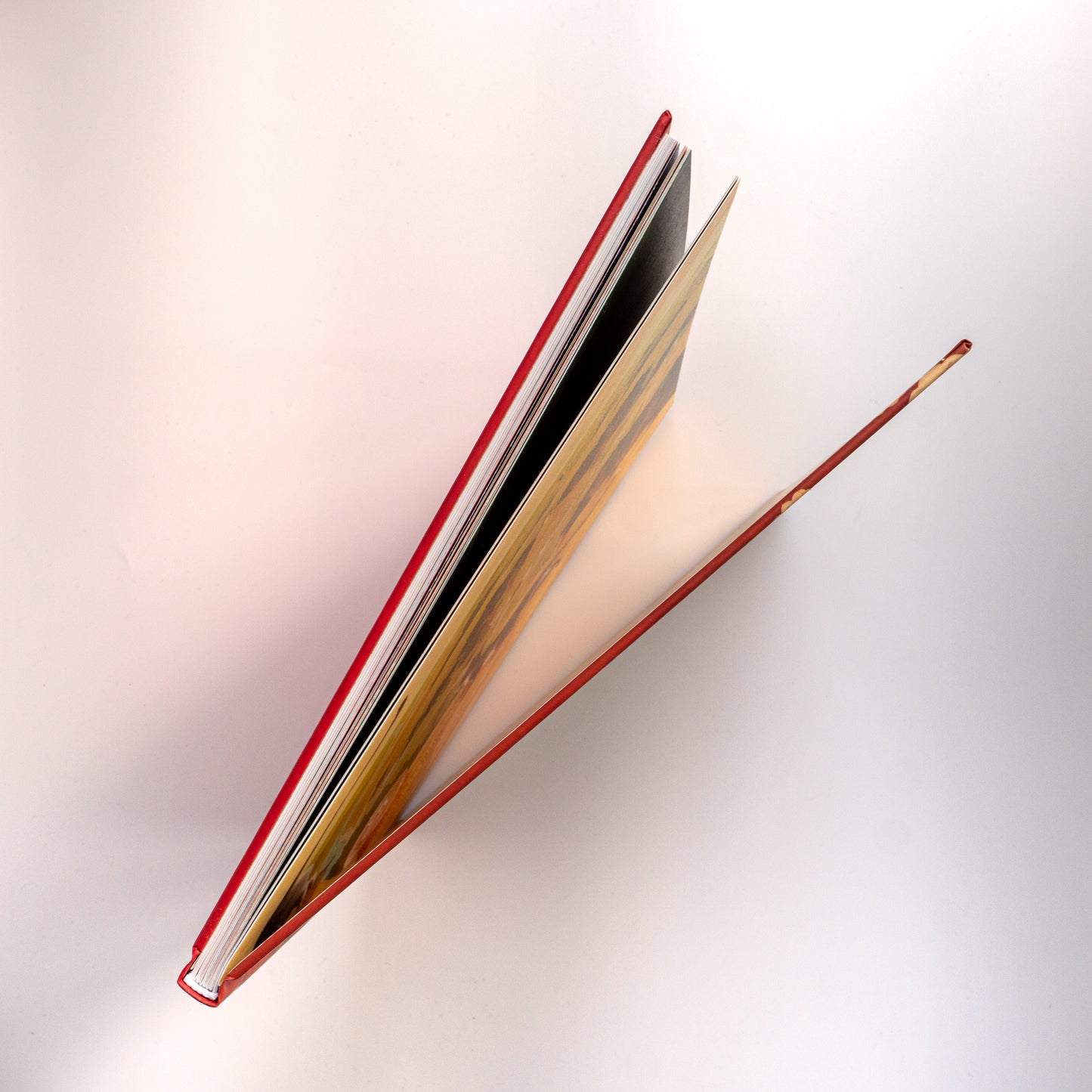 Дитячий кобзар