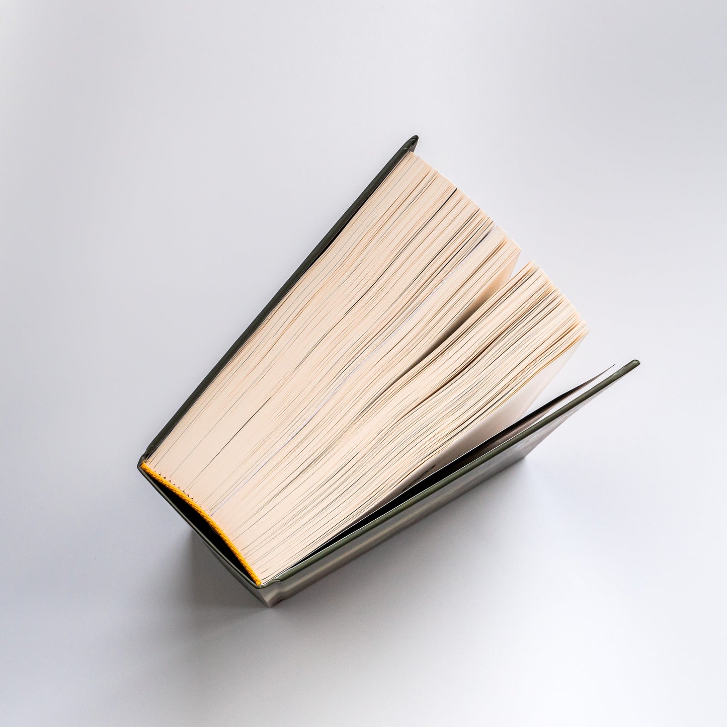 Колонія. Нові темні віки. Книга 1