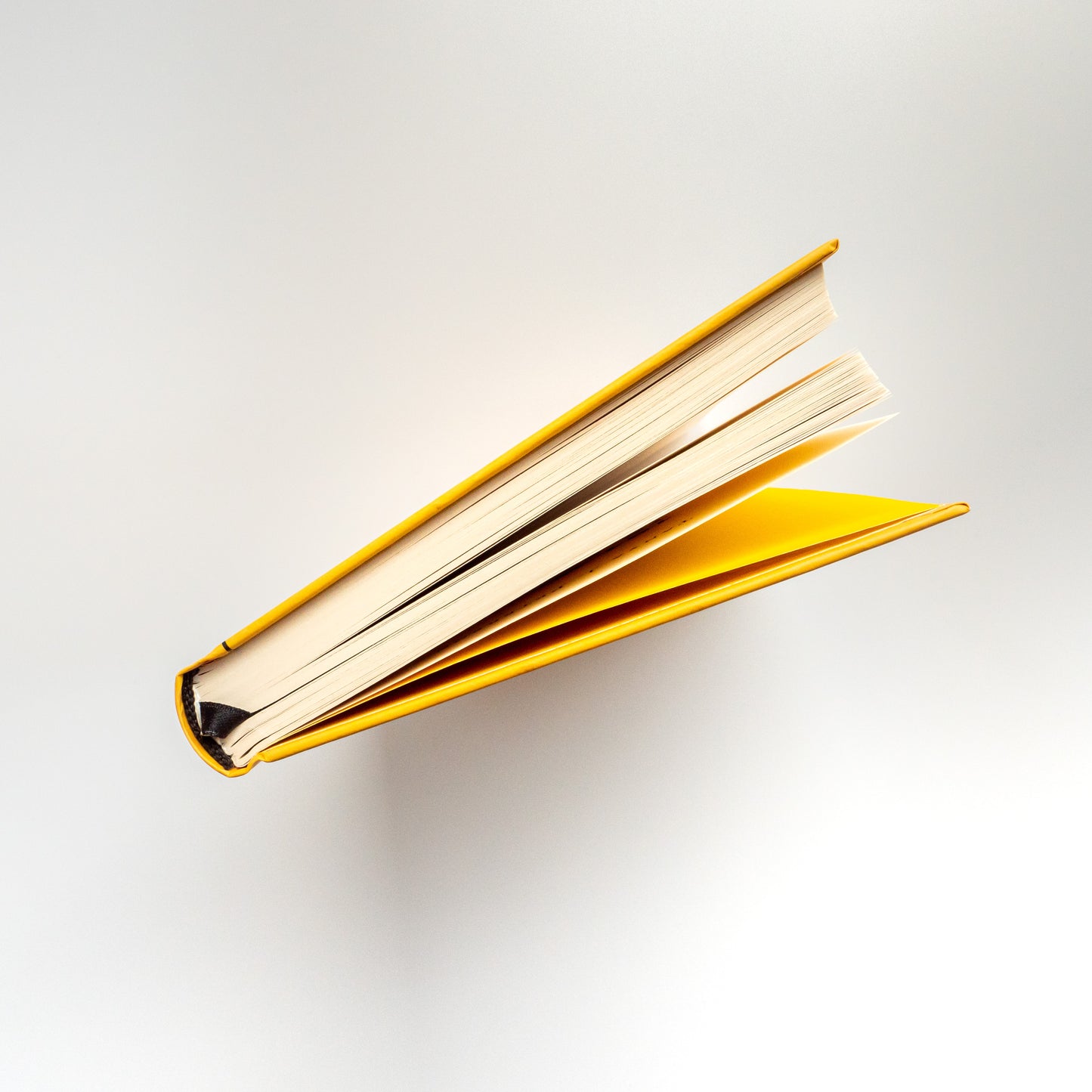 101 спосіб впоратися з тривогами, страхами й панічним атаками