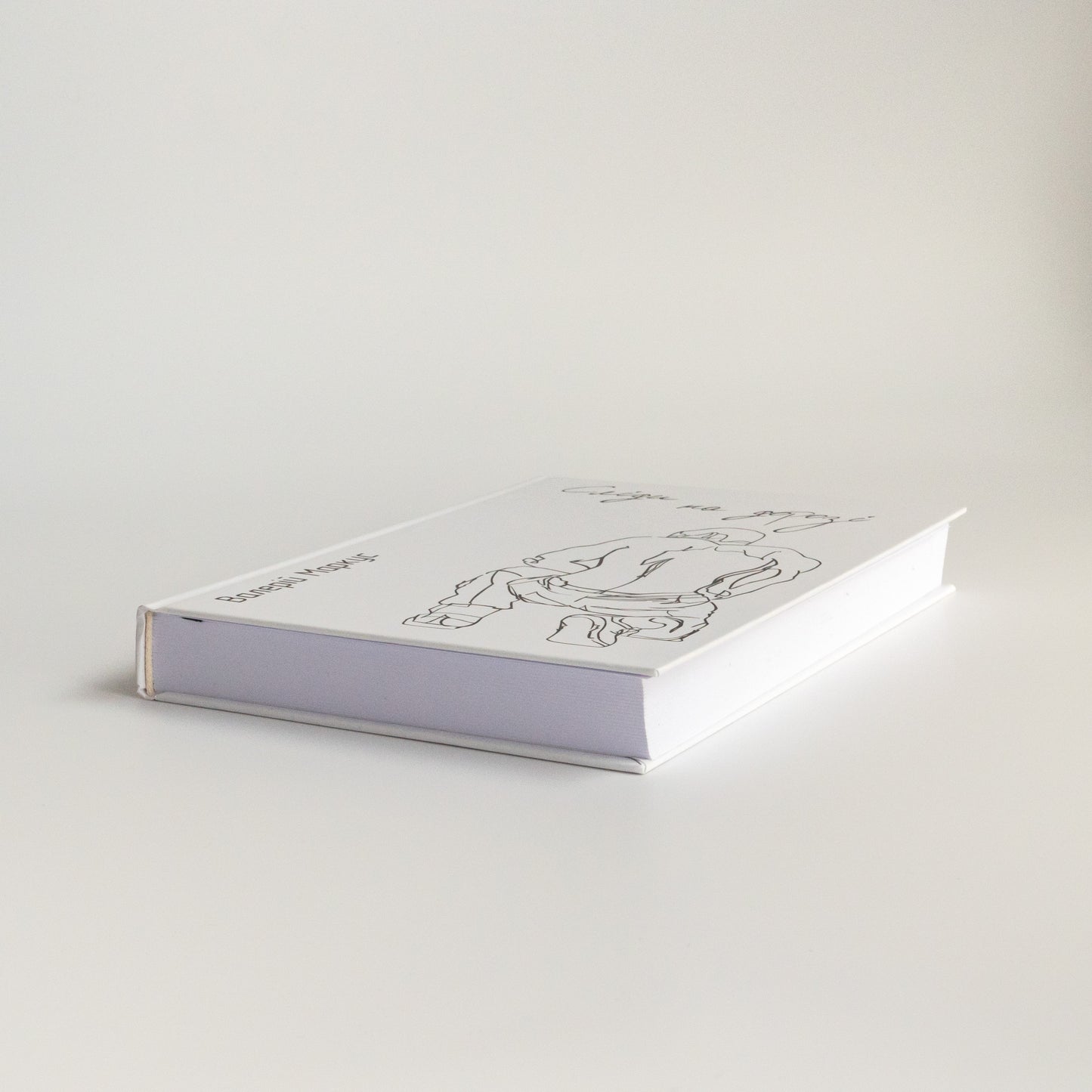 Сліди на дорозі