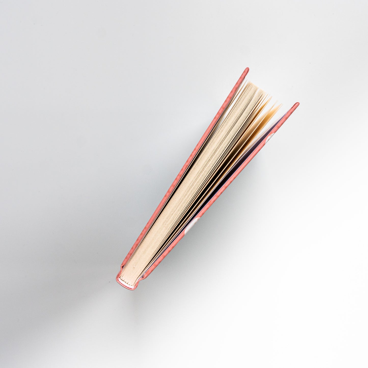 Кафе на краю світу