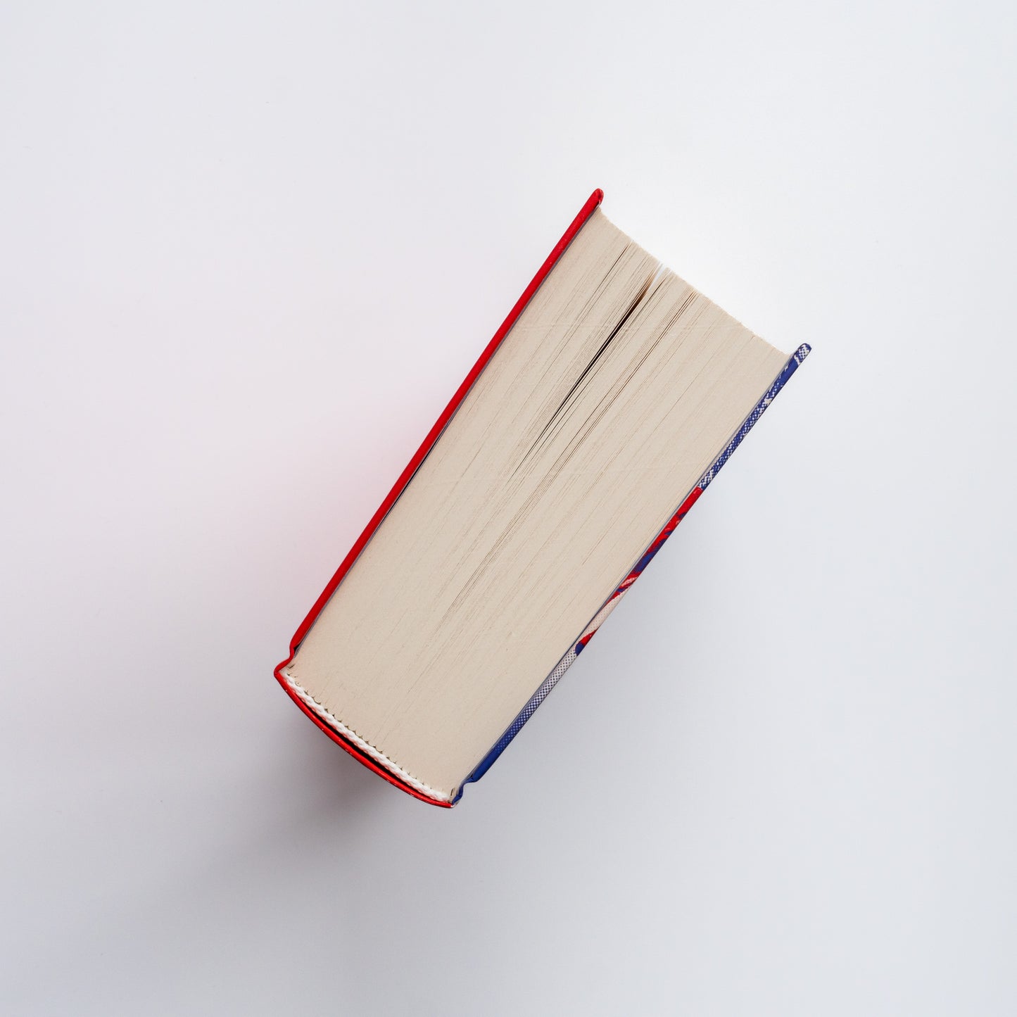 Зникнення Стефані Мейлер