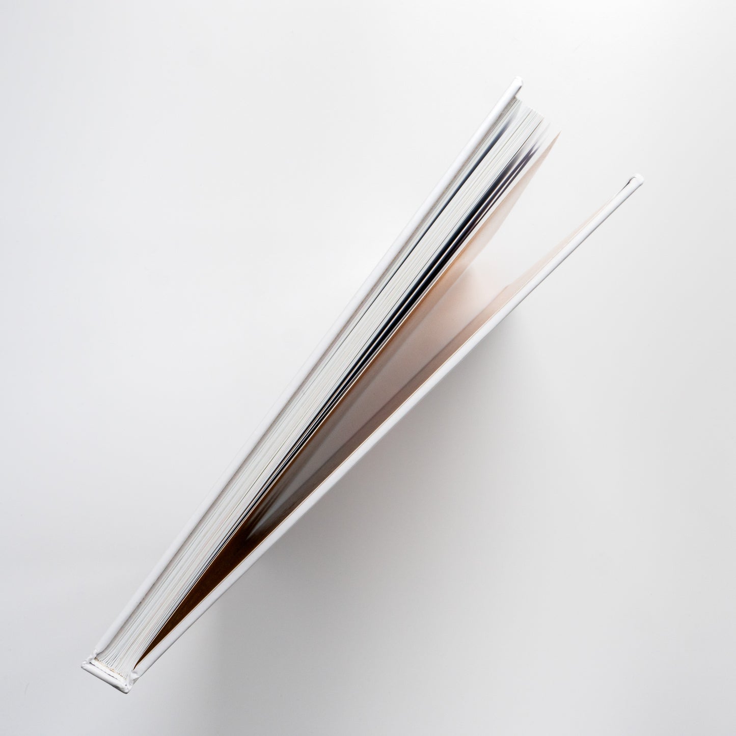 100 казок. Найкращі українські народні казки з ілюстраціями провідних українських художників. Том 1