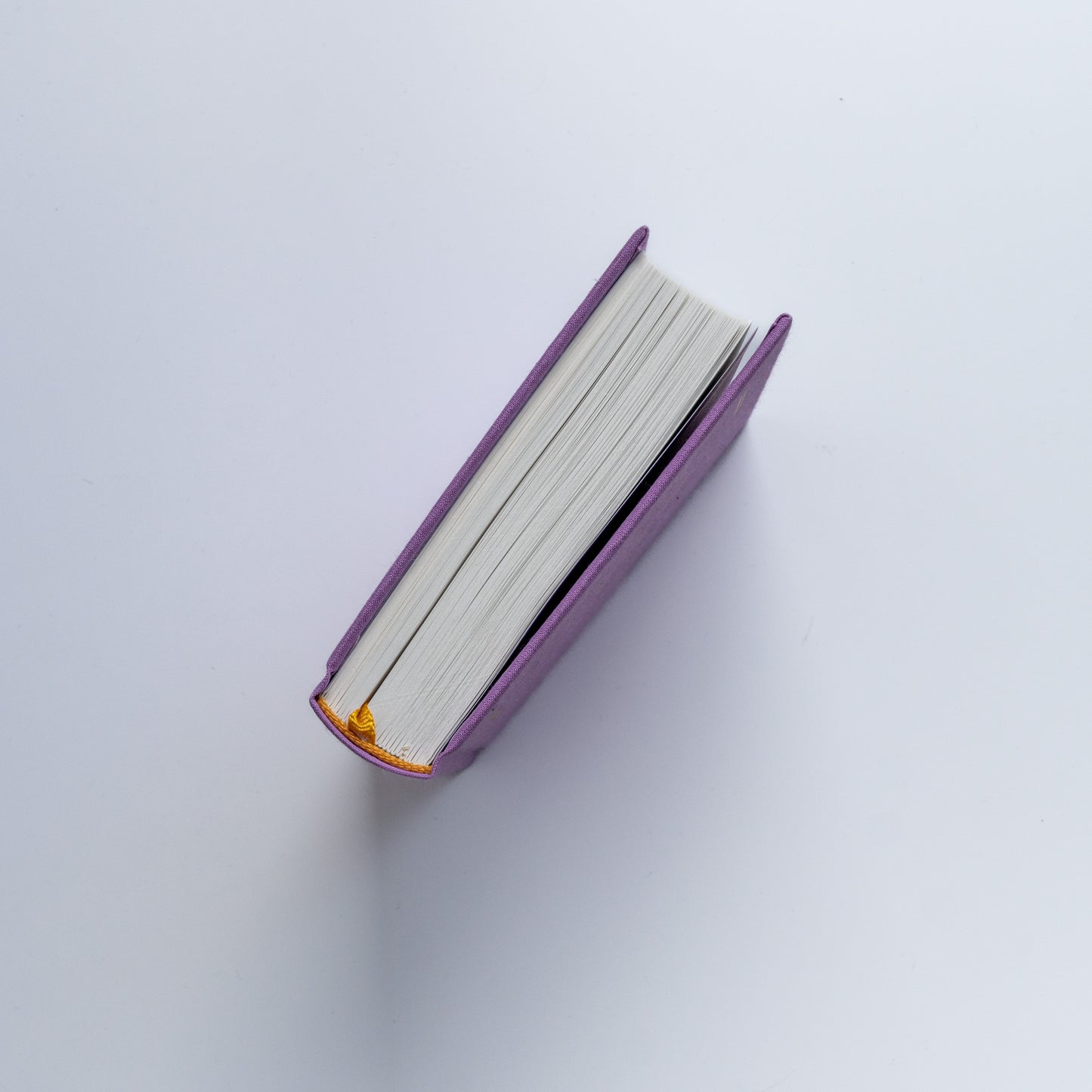 Ліна. Триста поезій