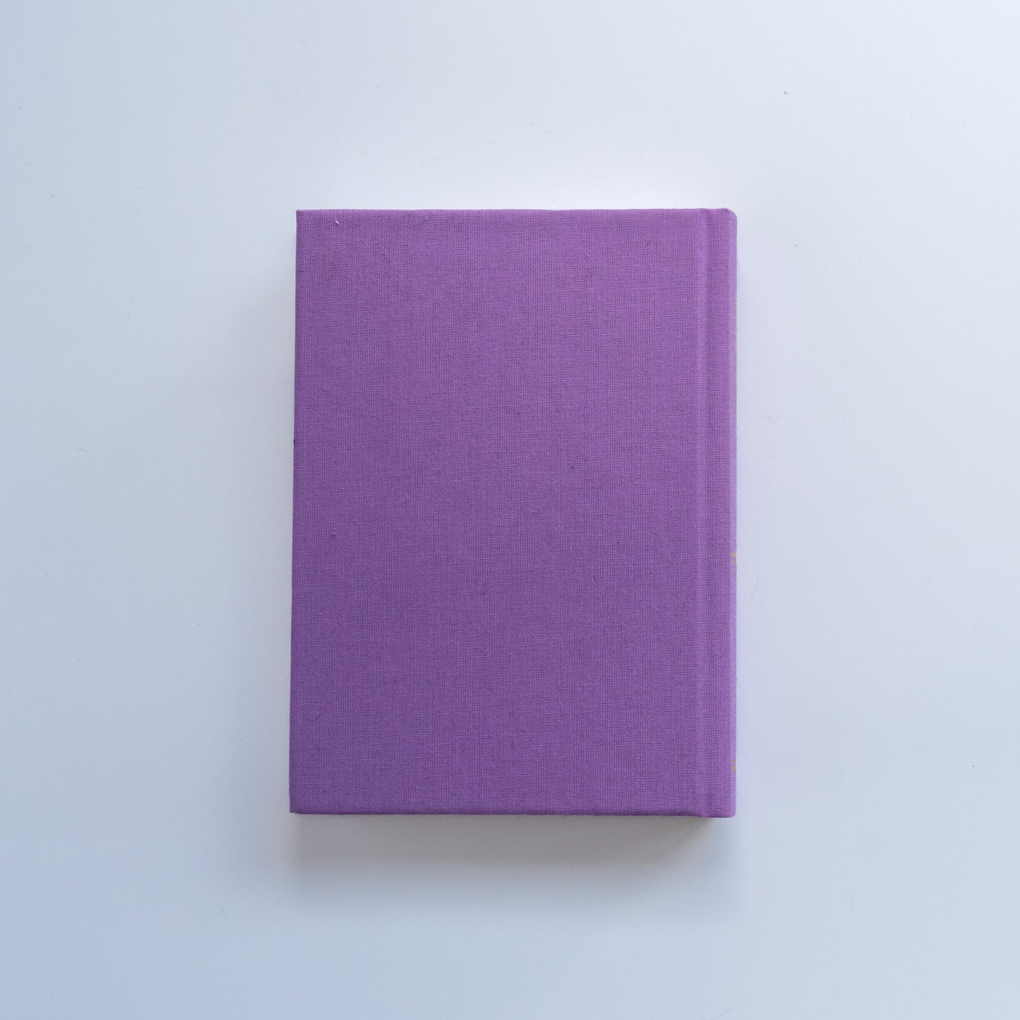 Ліна. Триста поезій