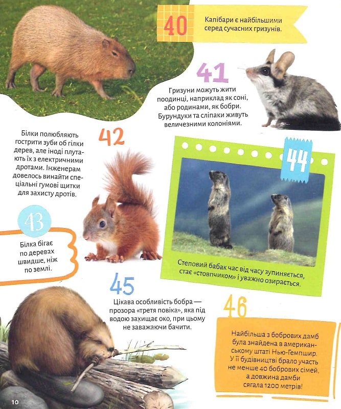 Тварини. 100 цікавих фактів. 132 наліпки