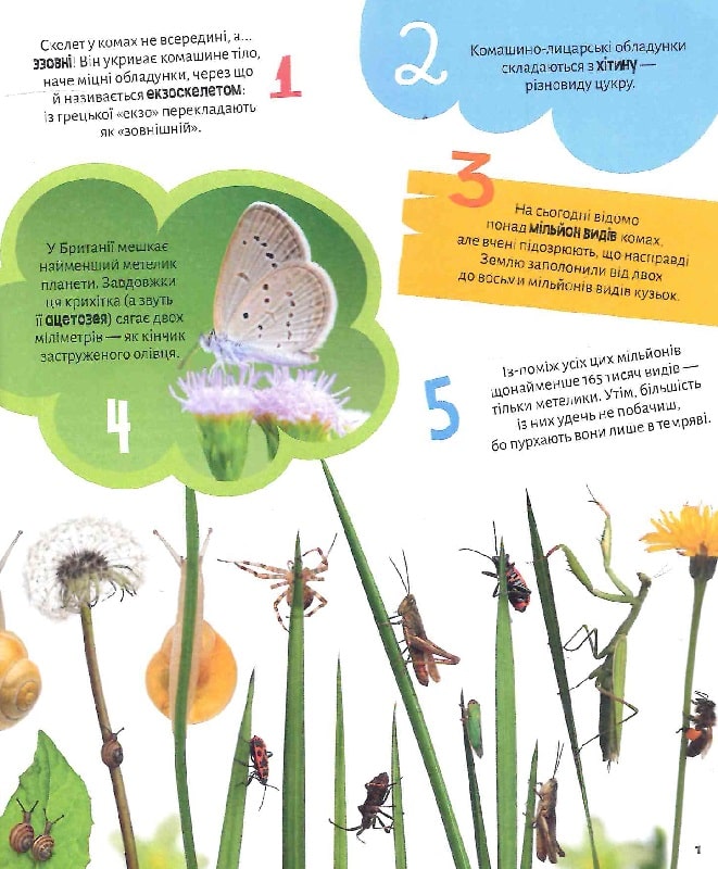 Комахи. 100 цікавих фактів. 132 наліпки