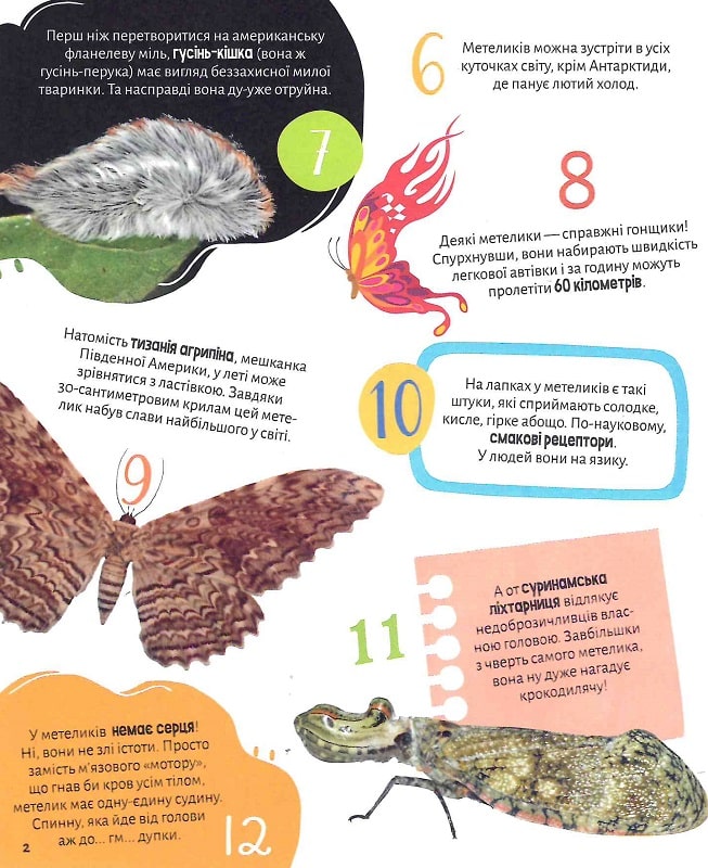 Комахи. 100 цікавих фактів. 132 наліпки
