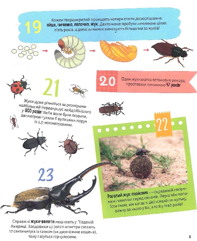 Комахи. 100 цікавих фактів. 132 наліпки