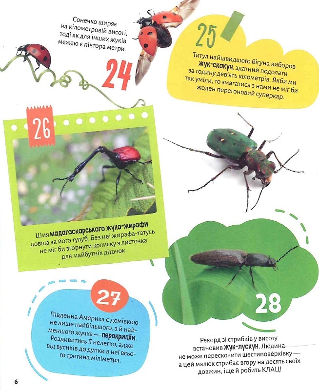 Комахи. 100 цікавих фактів. 132 наліпки