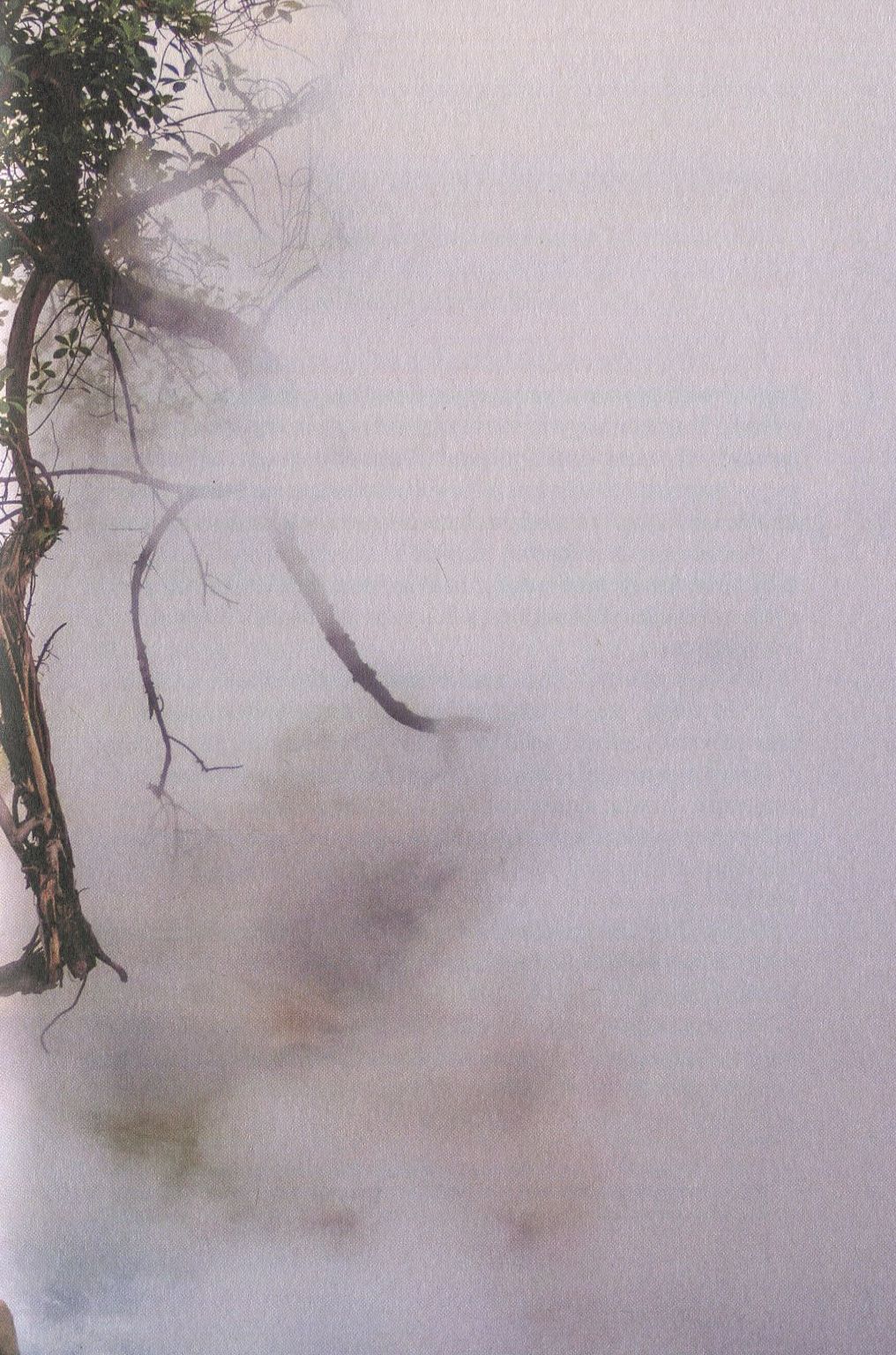 Кипуча річка. Пригоди і відкриття в Амазонії