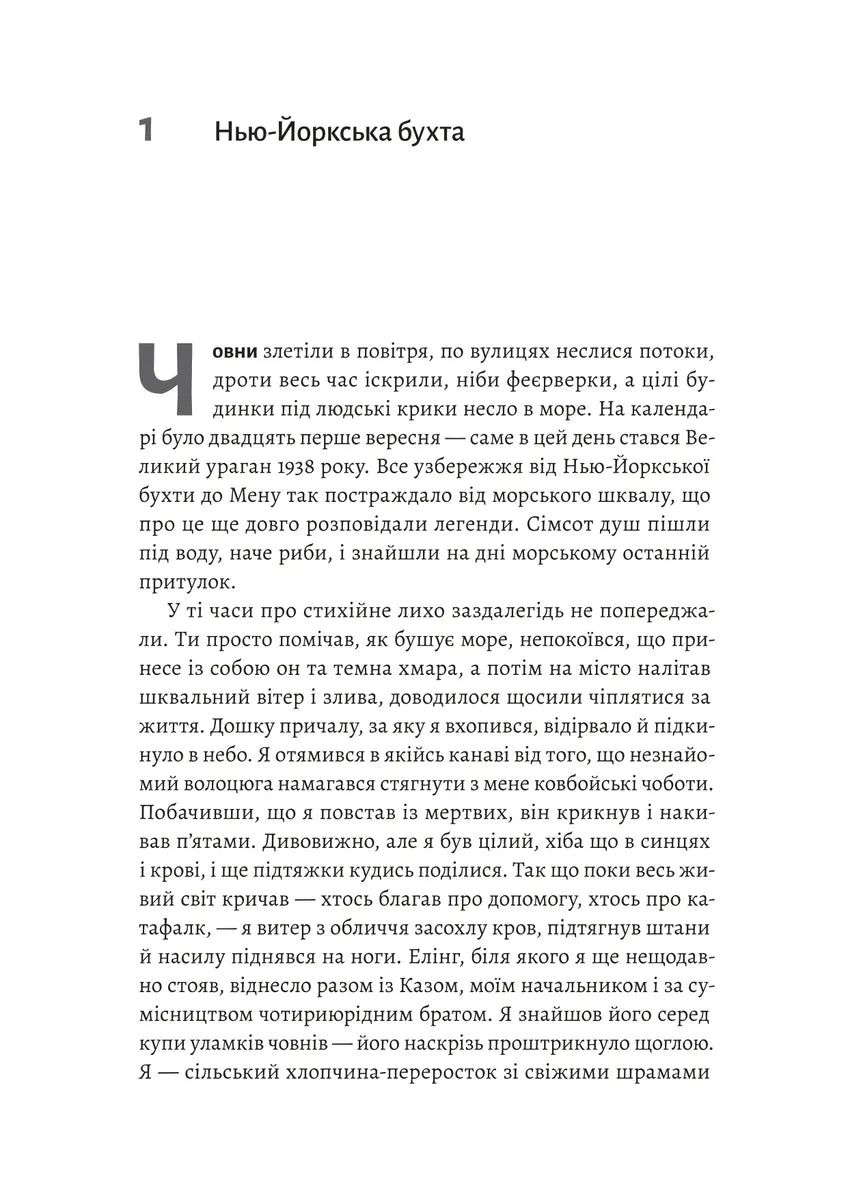 На захід із жирафами
