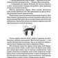 Вік Вовка. Книга 2. Норд