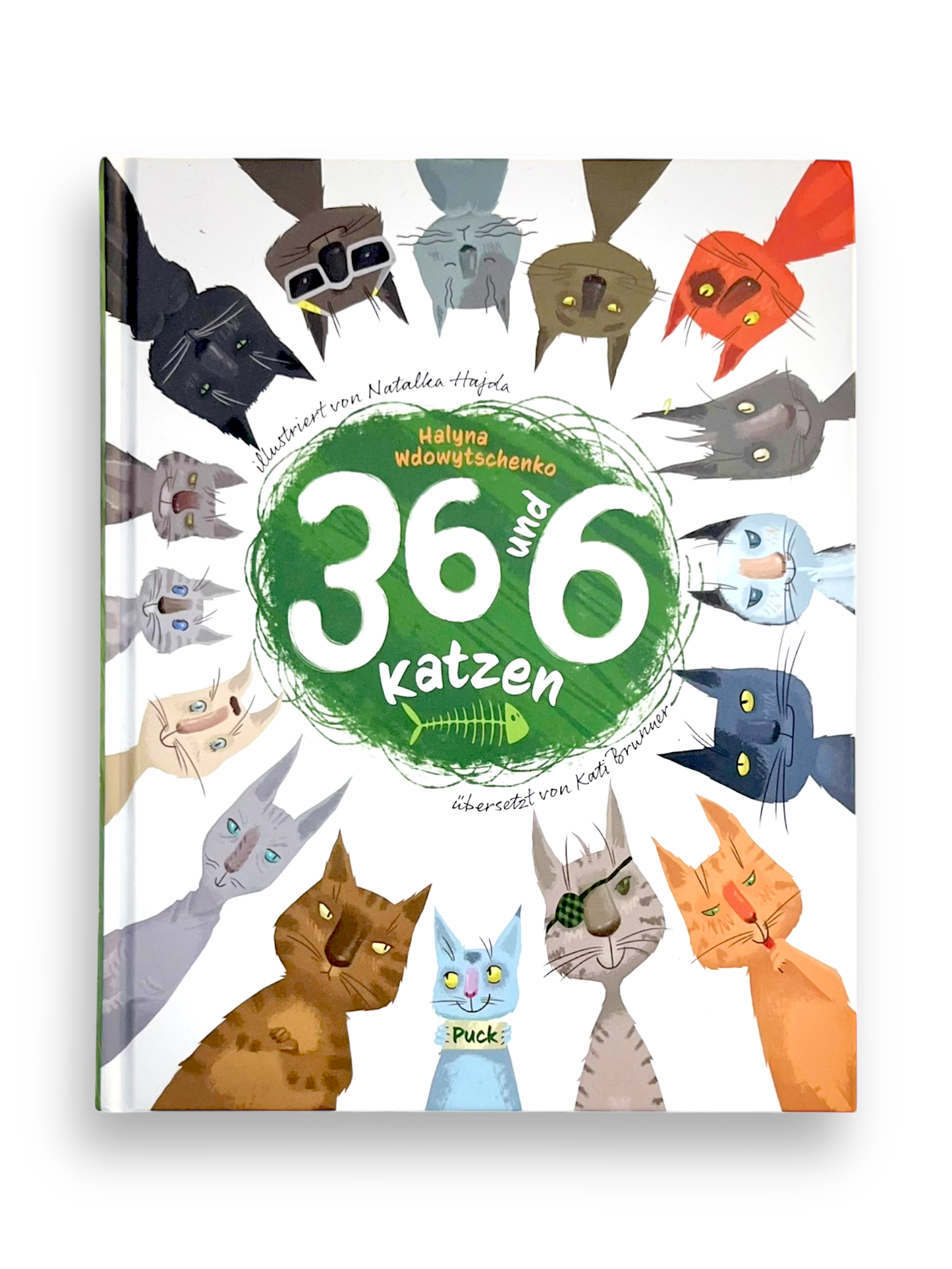 36 und 6 Katzen