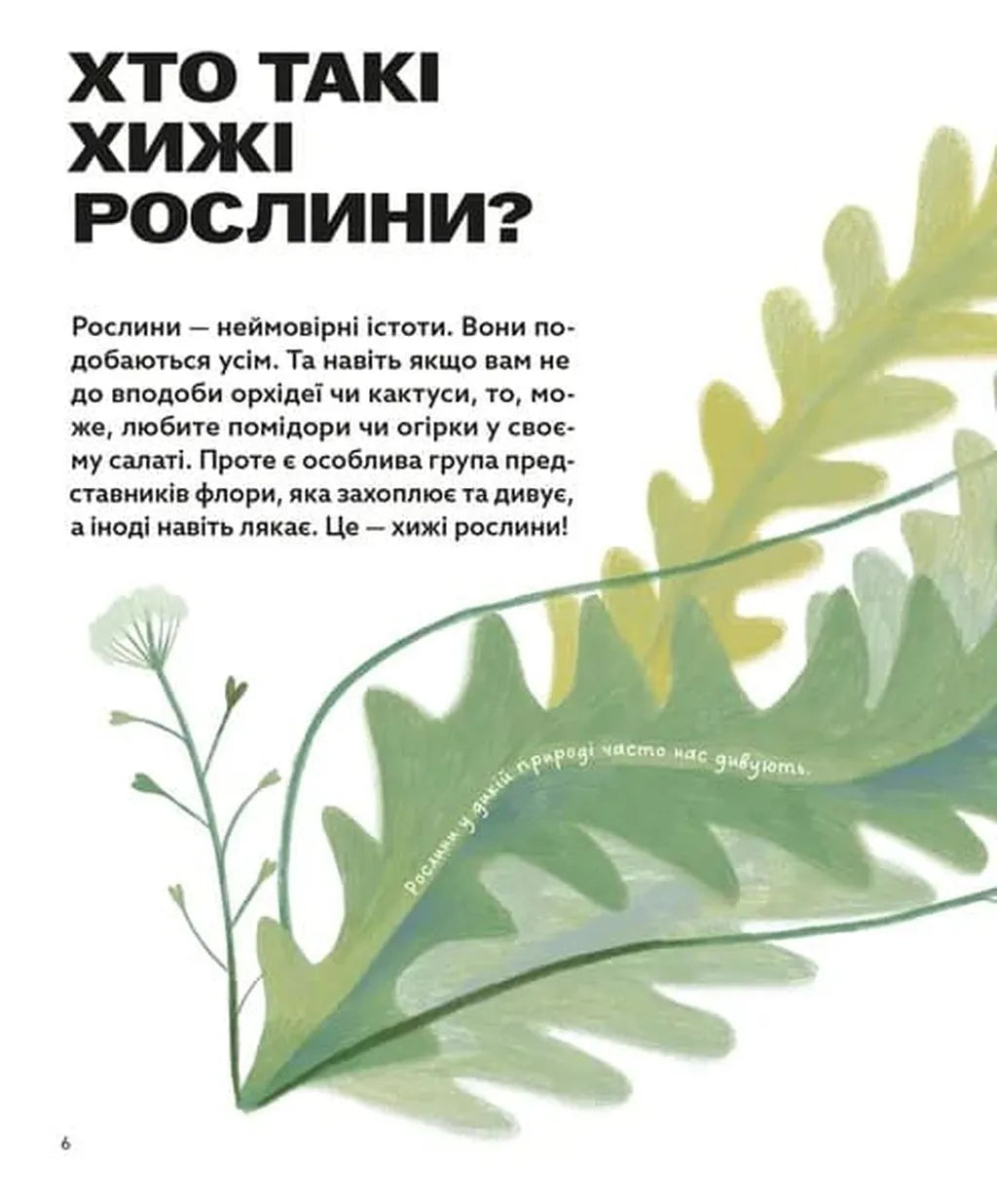 Хто такі хижі рослини?
