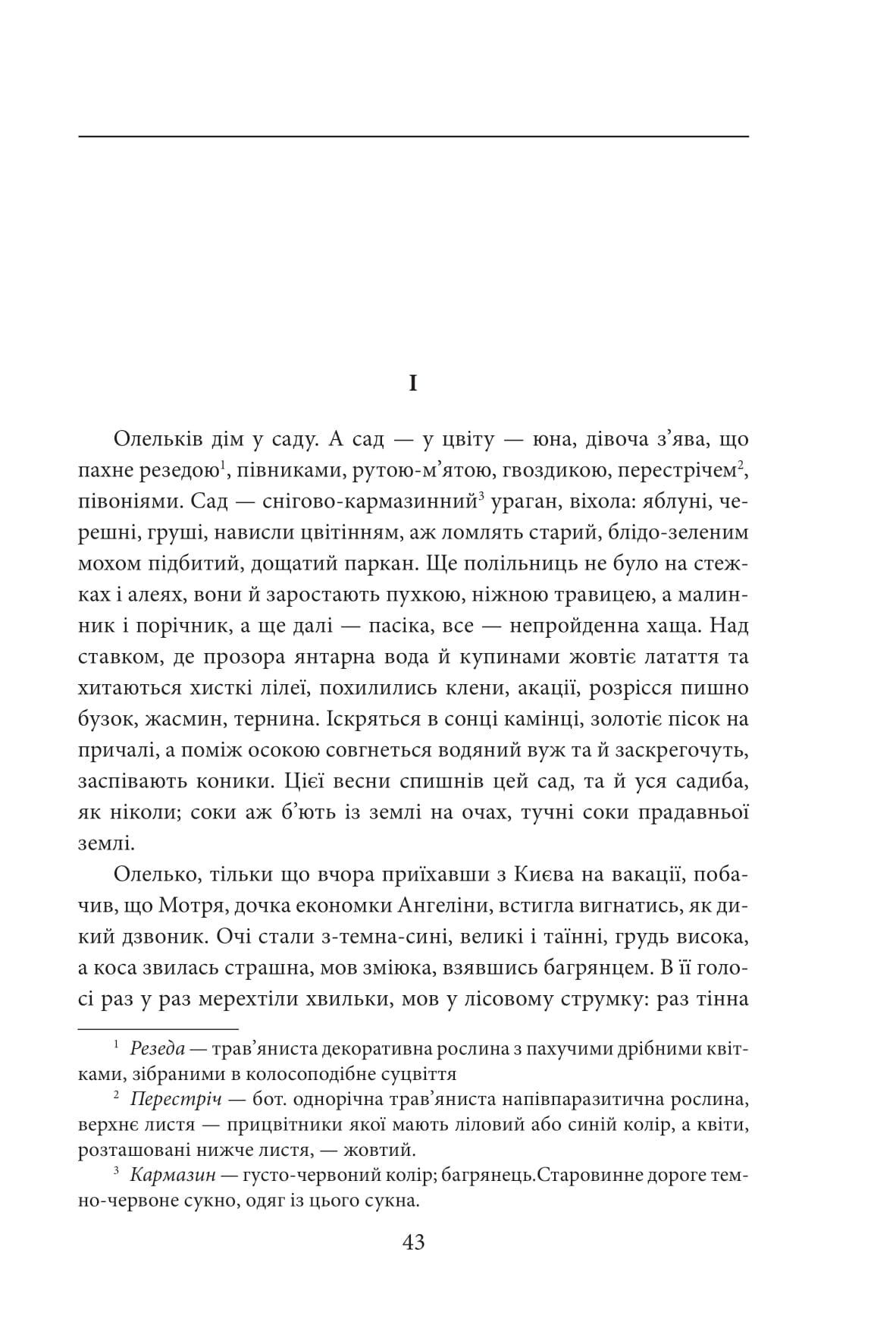 Сузір’я Лебедя. Сонце в Чигирині