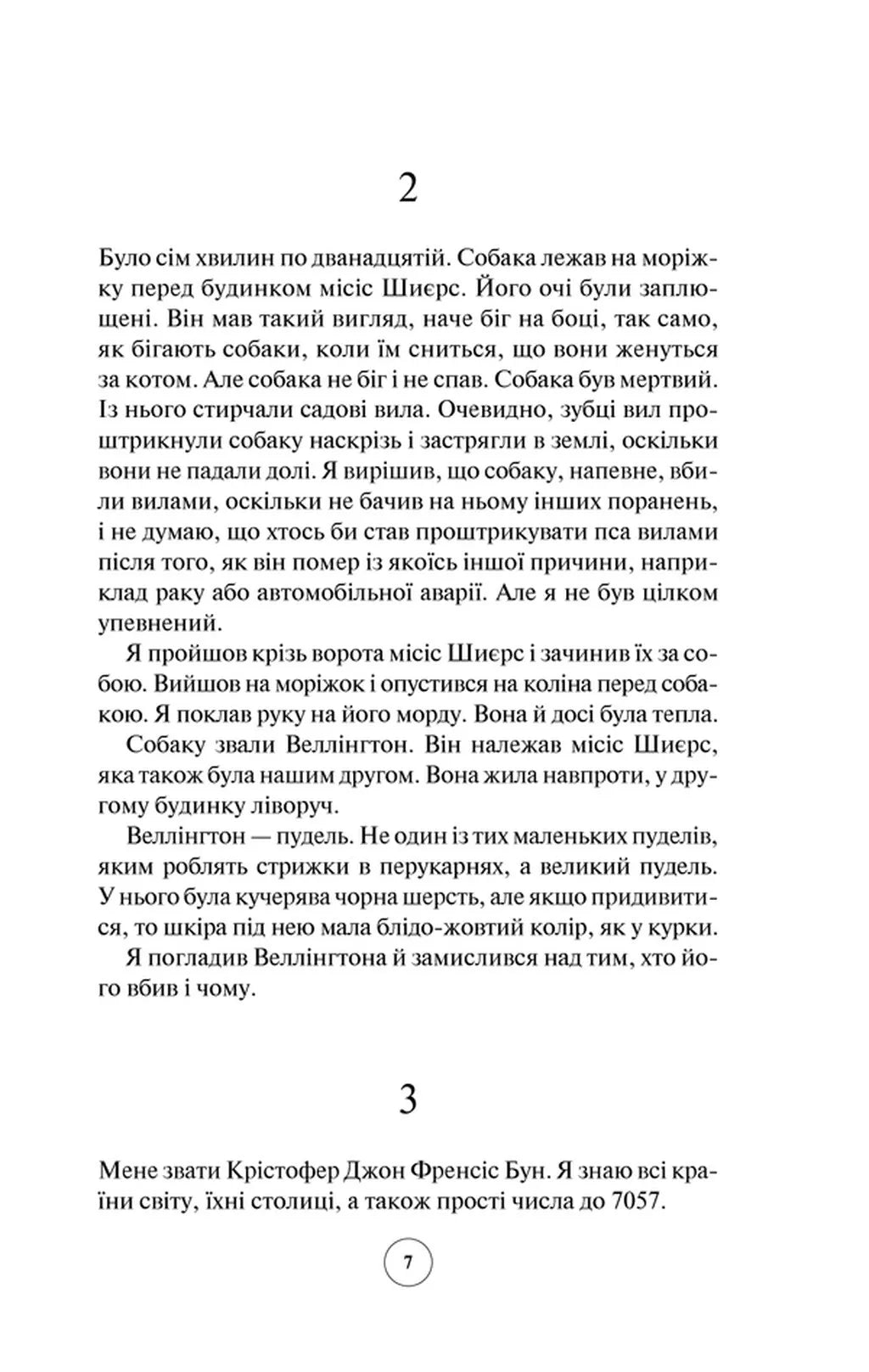 Загадковий нічний інцидент із собакою
