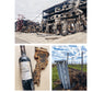 Wines of Ukraine. The Untold Story