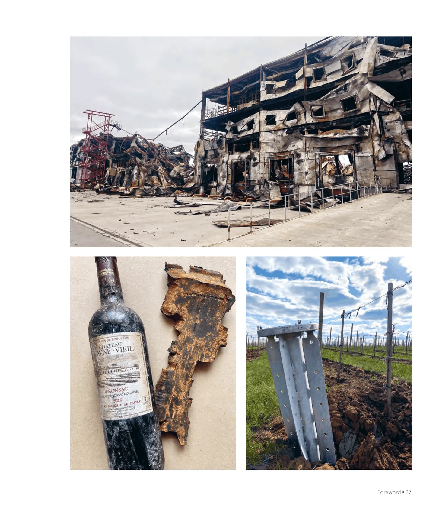 Wines of Ukraine. The Untold Story