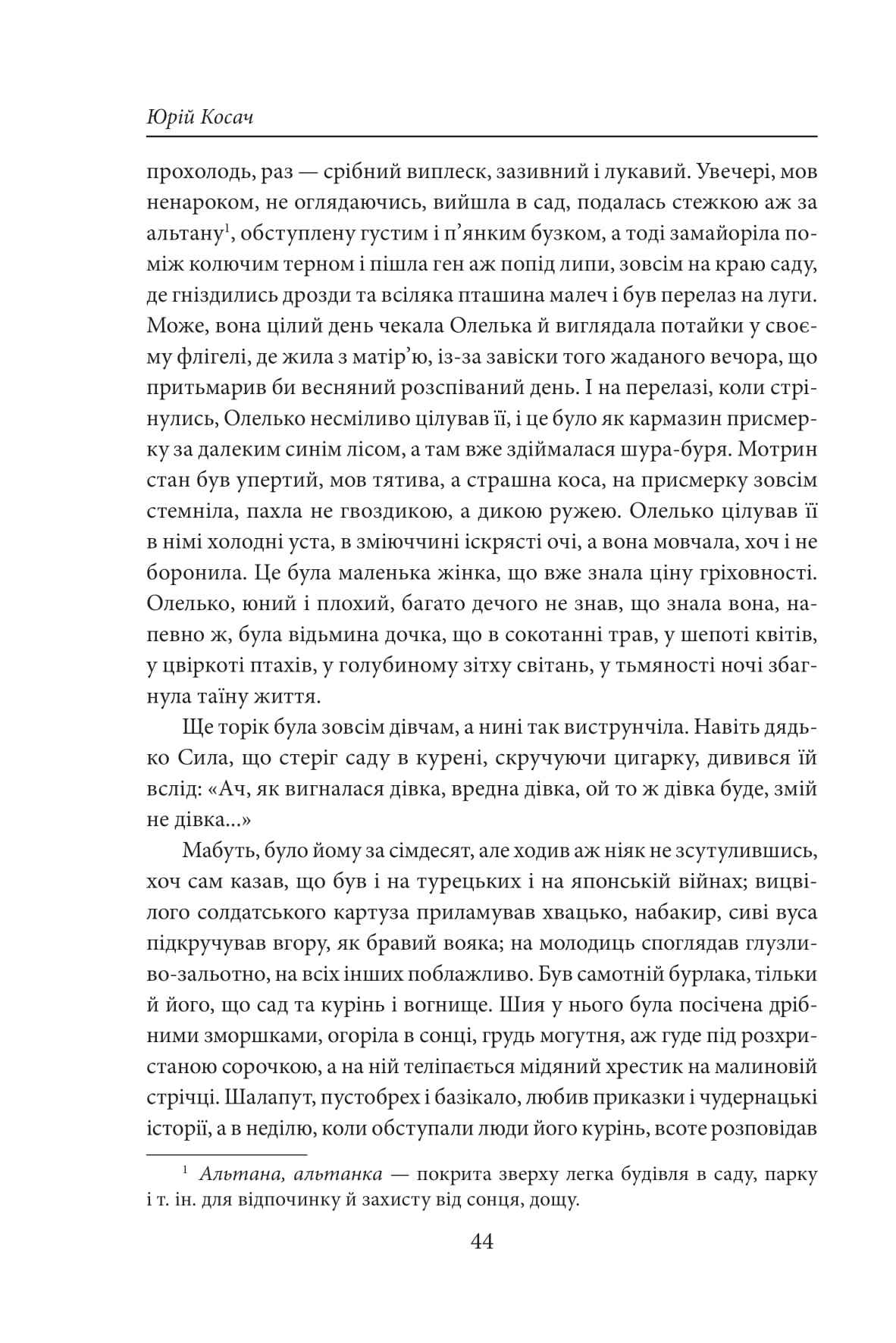 Сузір’я Лебедя. Сонце в Чигирині