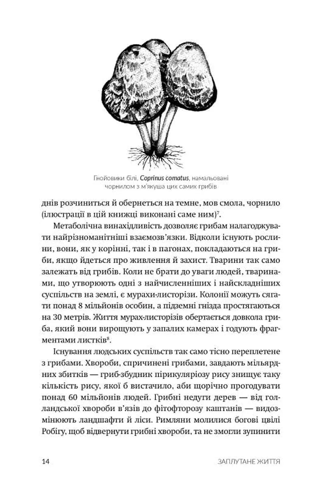 Заплутане життя. Як гриби формують наші світи, змінюють нашу свідомість і визначають наше майбутнє